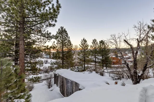 a view of covered with trees