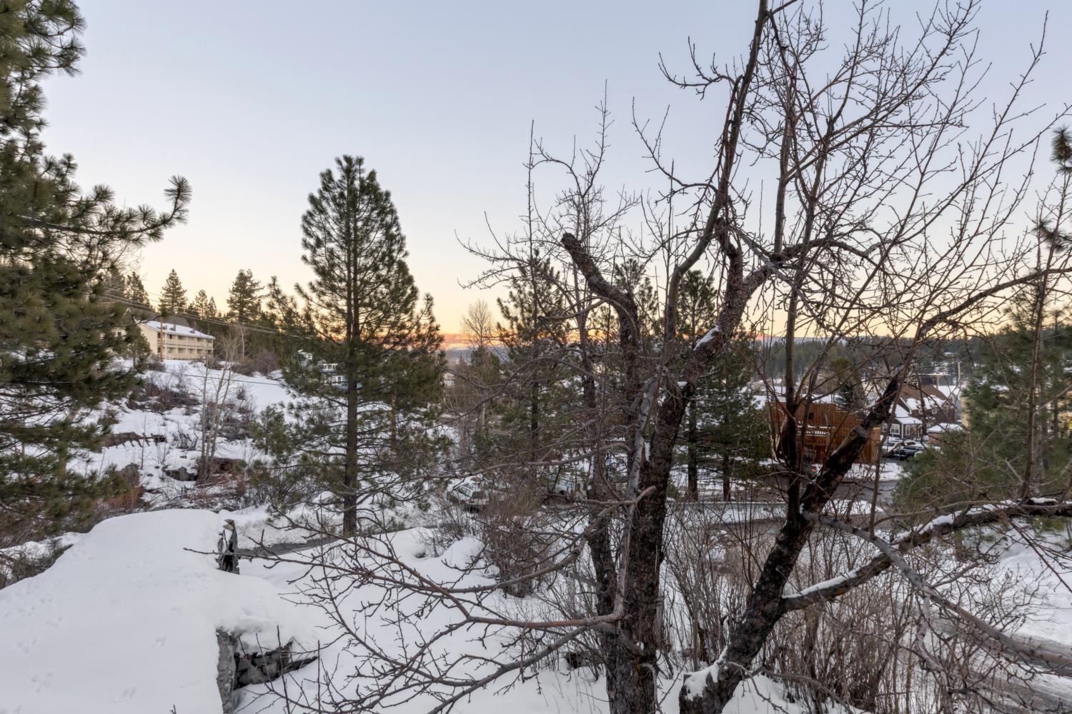 10008 High Street Truckee, CA 96161 - Photo 27 of 28 a view of covered with trees