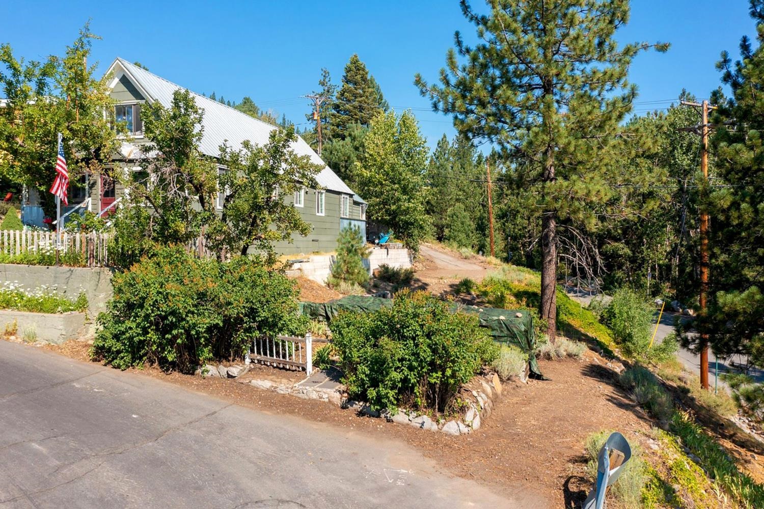 10008 High Street Truckee, CA 96161 - Photo 6 of 28 a picture of plants