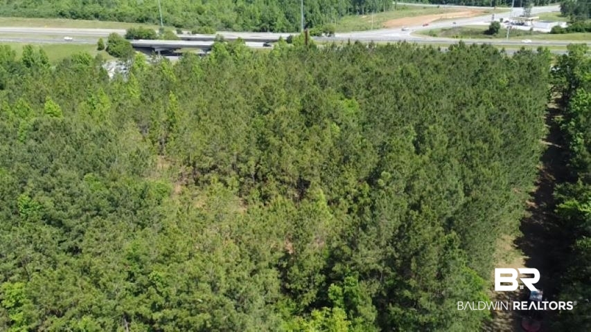 21 Highway 21 Atmore, AL 36502 - Photo 10 of 20
