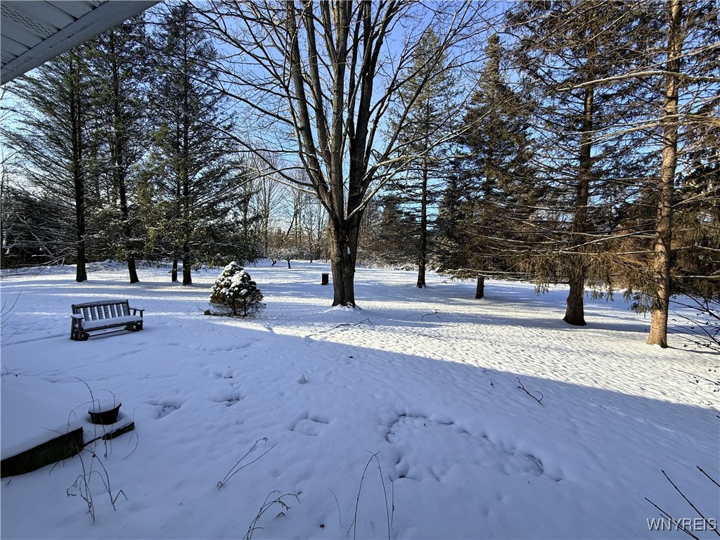 9442 Francis Road Bethany, NY 14020 - Photo 5 of 38