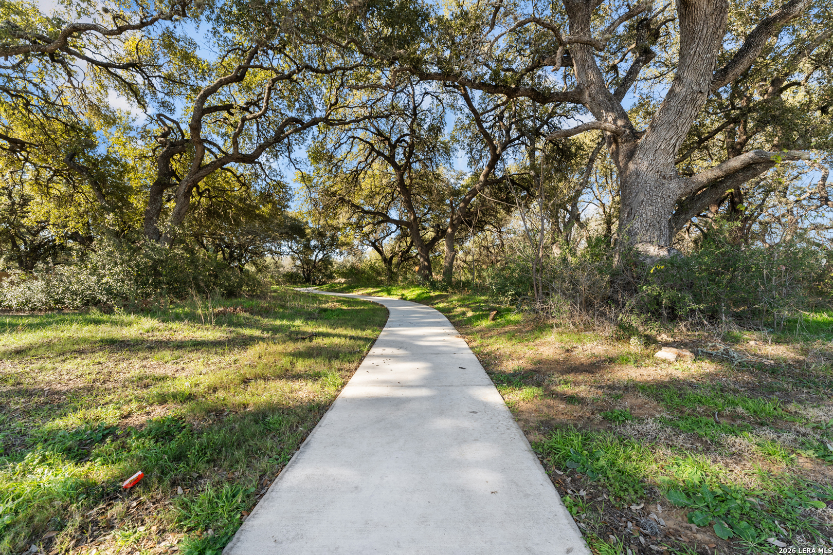 1168 Limestone Ridge Seguin, TX 78155 - Photo 15 of 22