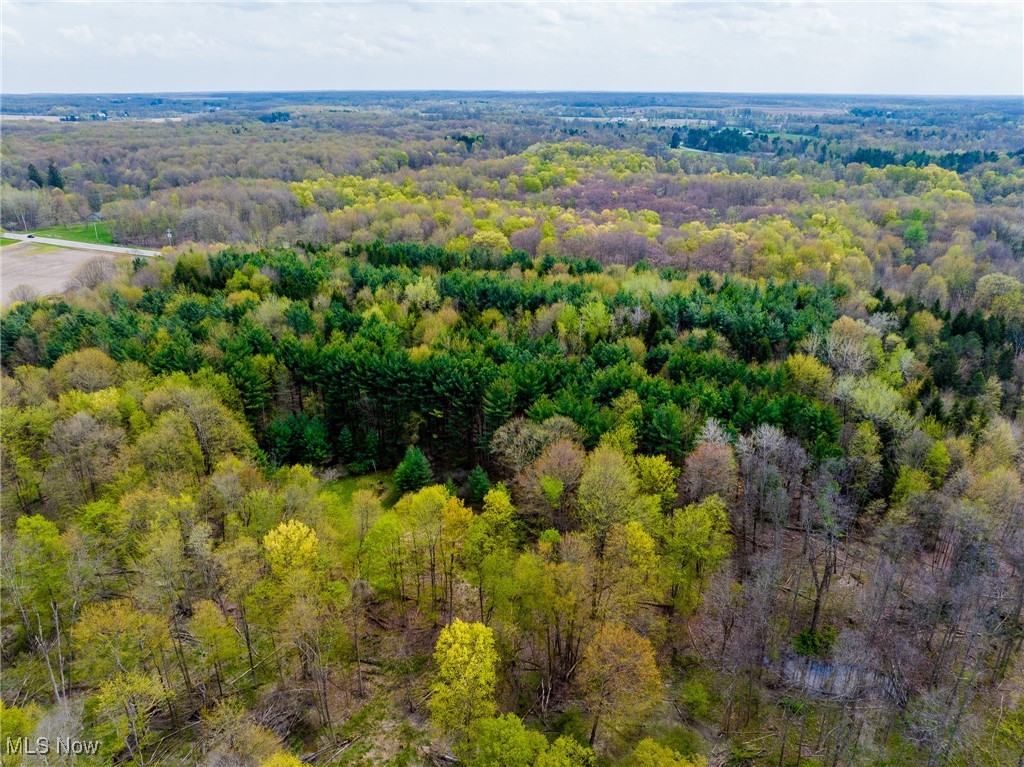 Crosby Creek Road Rome, OH 44085 - Photo 9 of 30 Aerial view of a forest