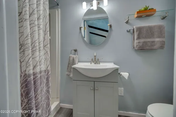 a bathroom with a sink toilet and mirror