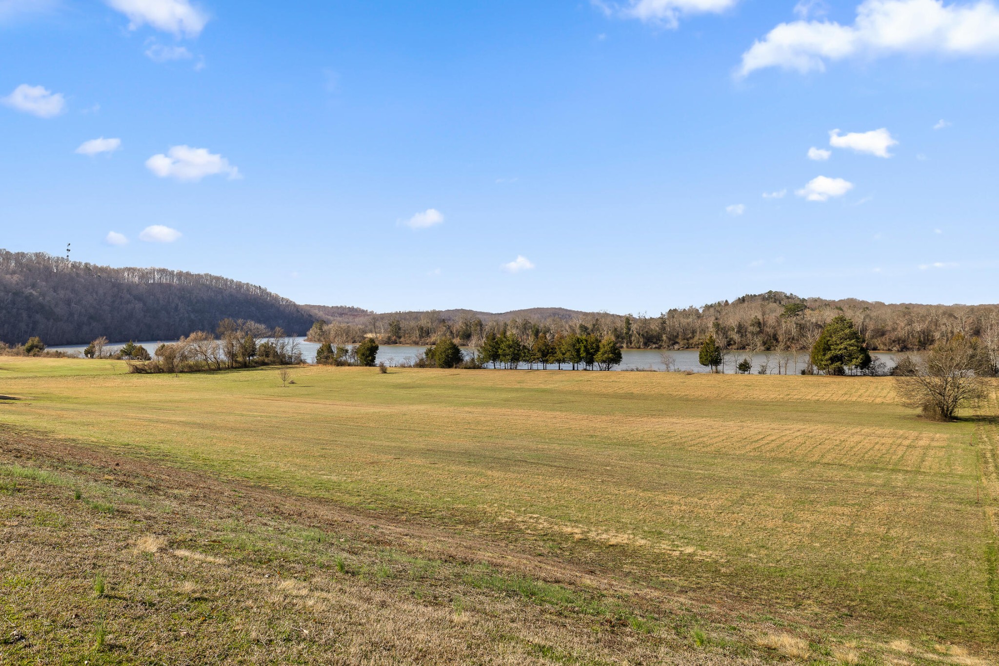 62 Espalier Drive Decatur, TN 37322 - Photo 19 of 34