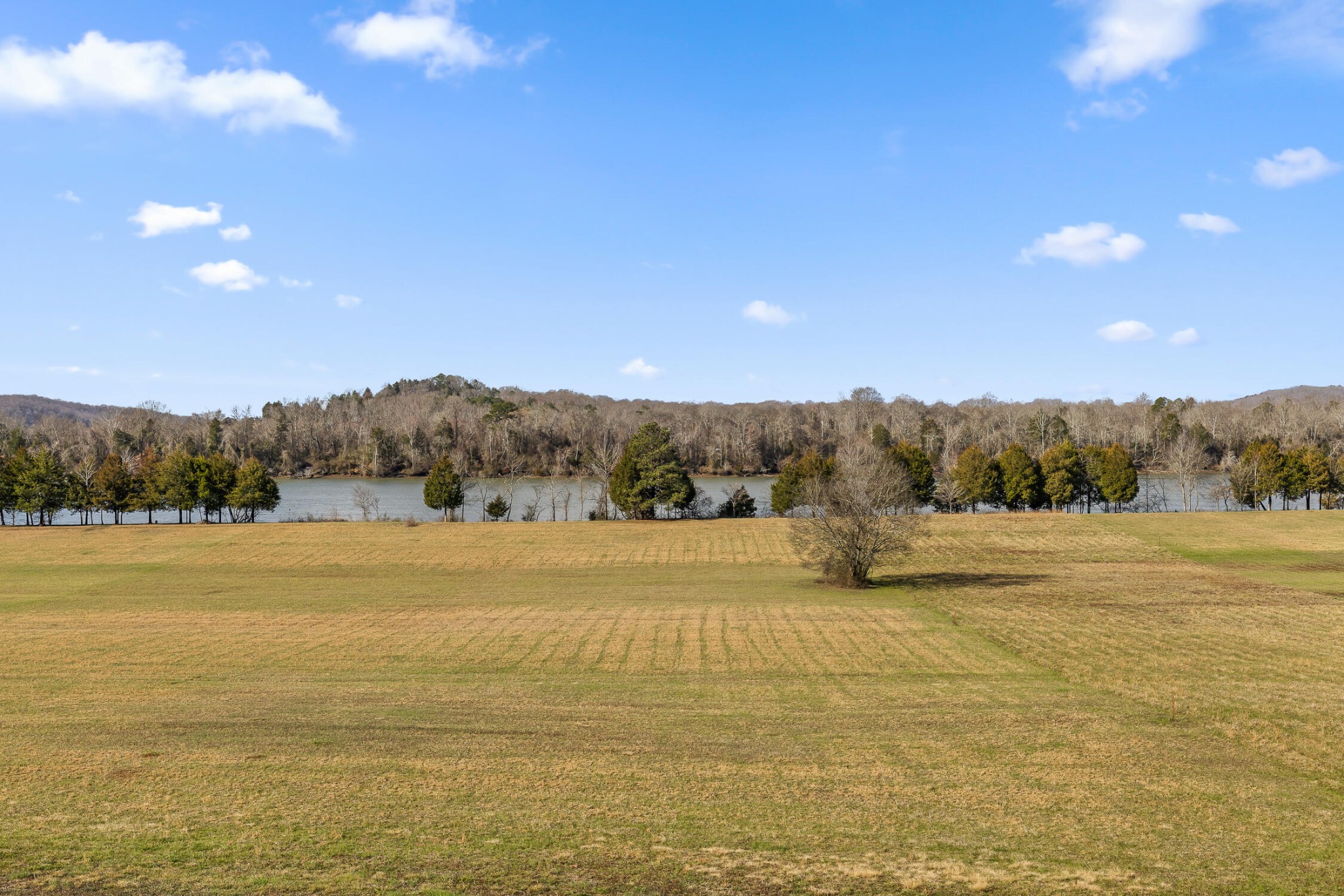 62 Espalier Drive Decatur, TN 37322 - Photo 20 of 34