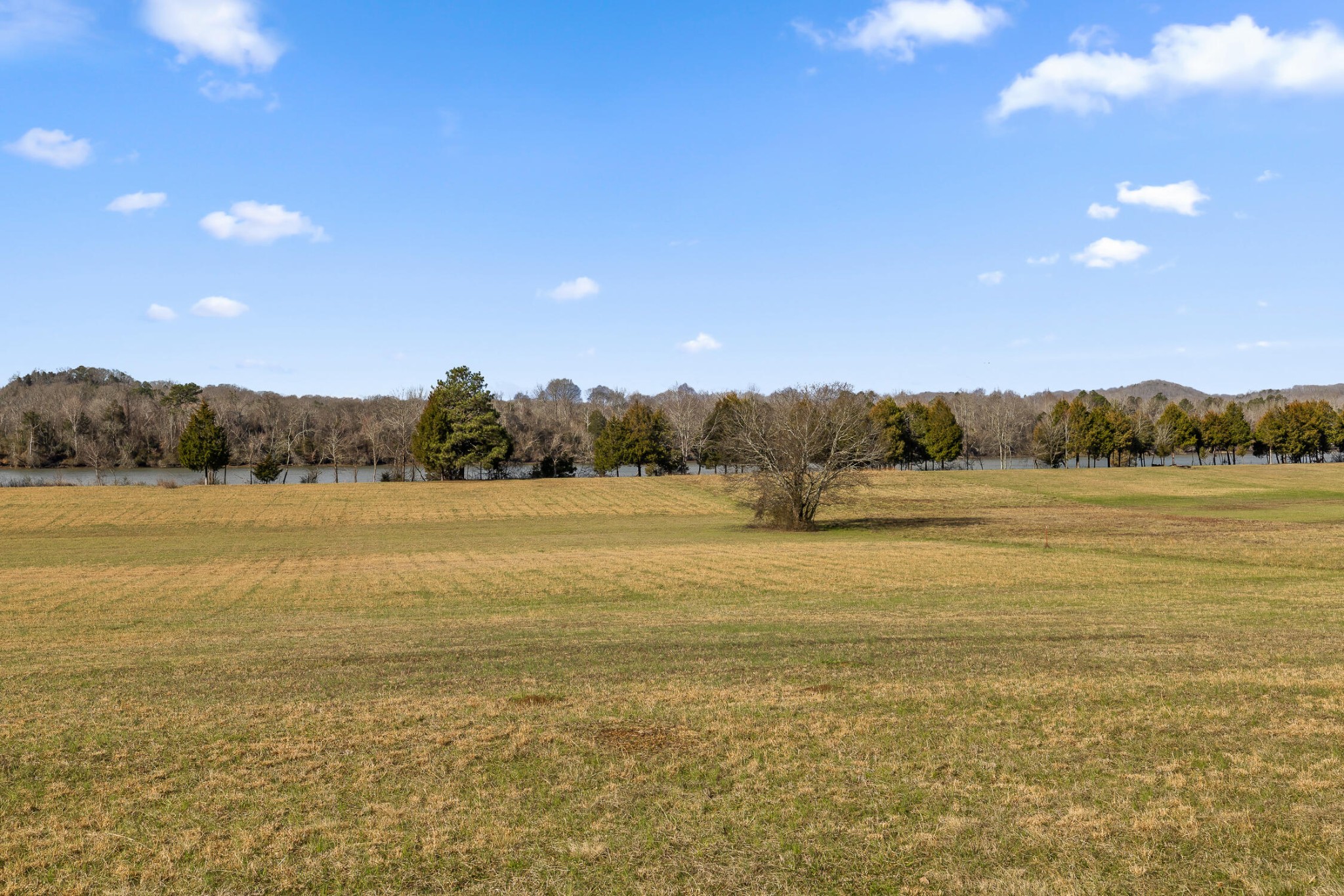 62 Espalier Drive Decatur, TN 37322 - Photo 22 of 34