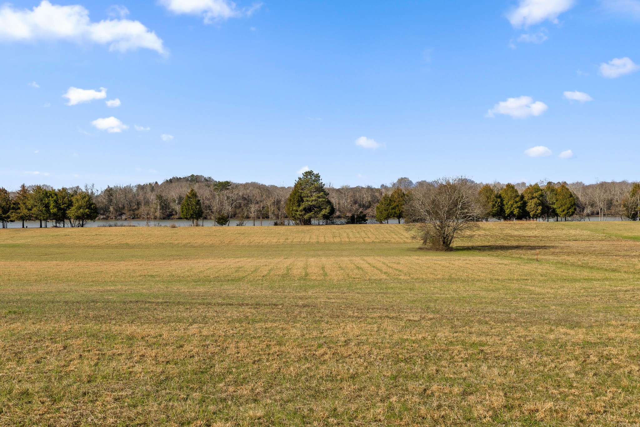 62 Espalier Drive Decatur, TN 37322 - Photo 23 of 34