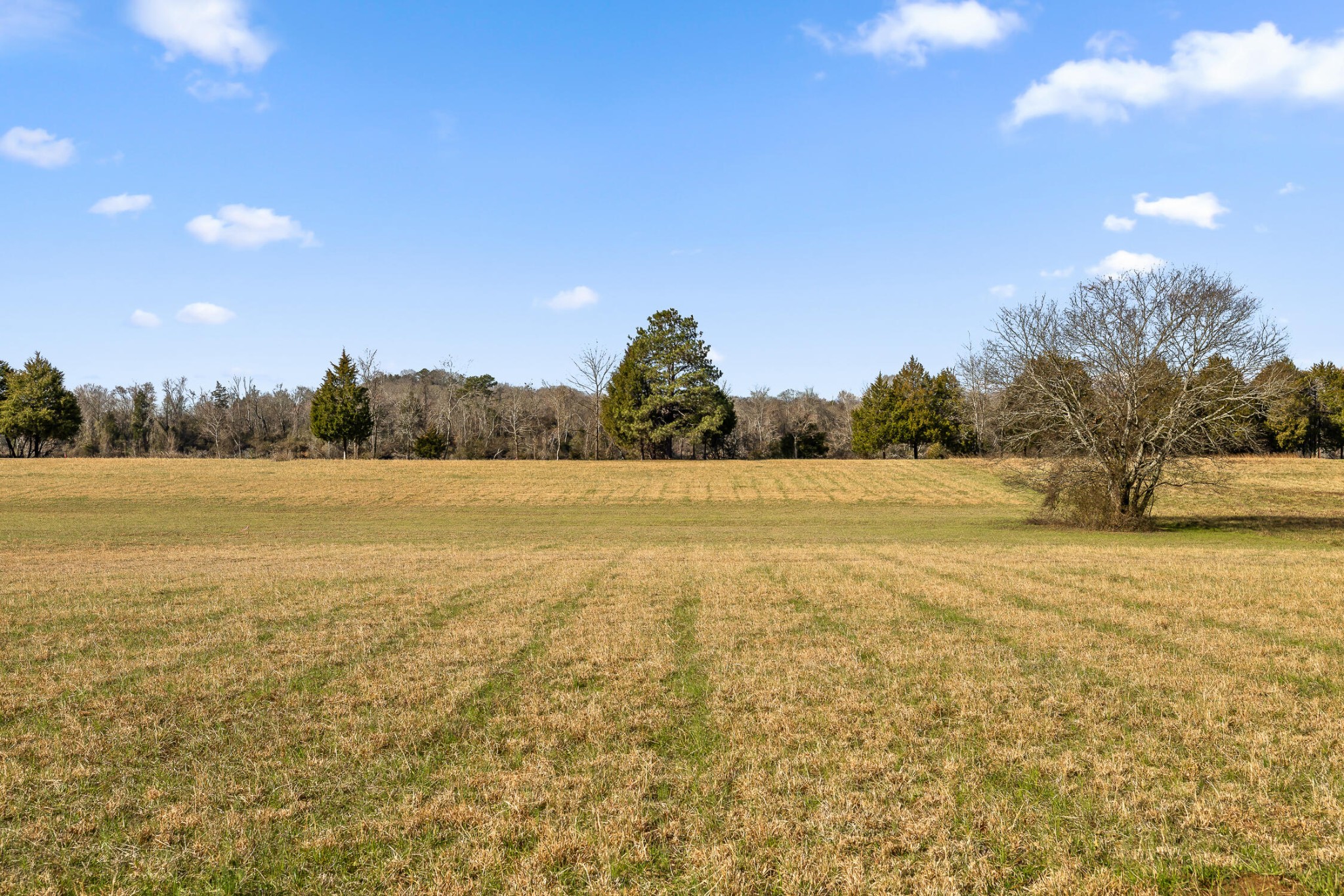 62 Espalier Drive Decatur, TN 37322 - Photo 25 of 34