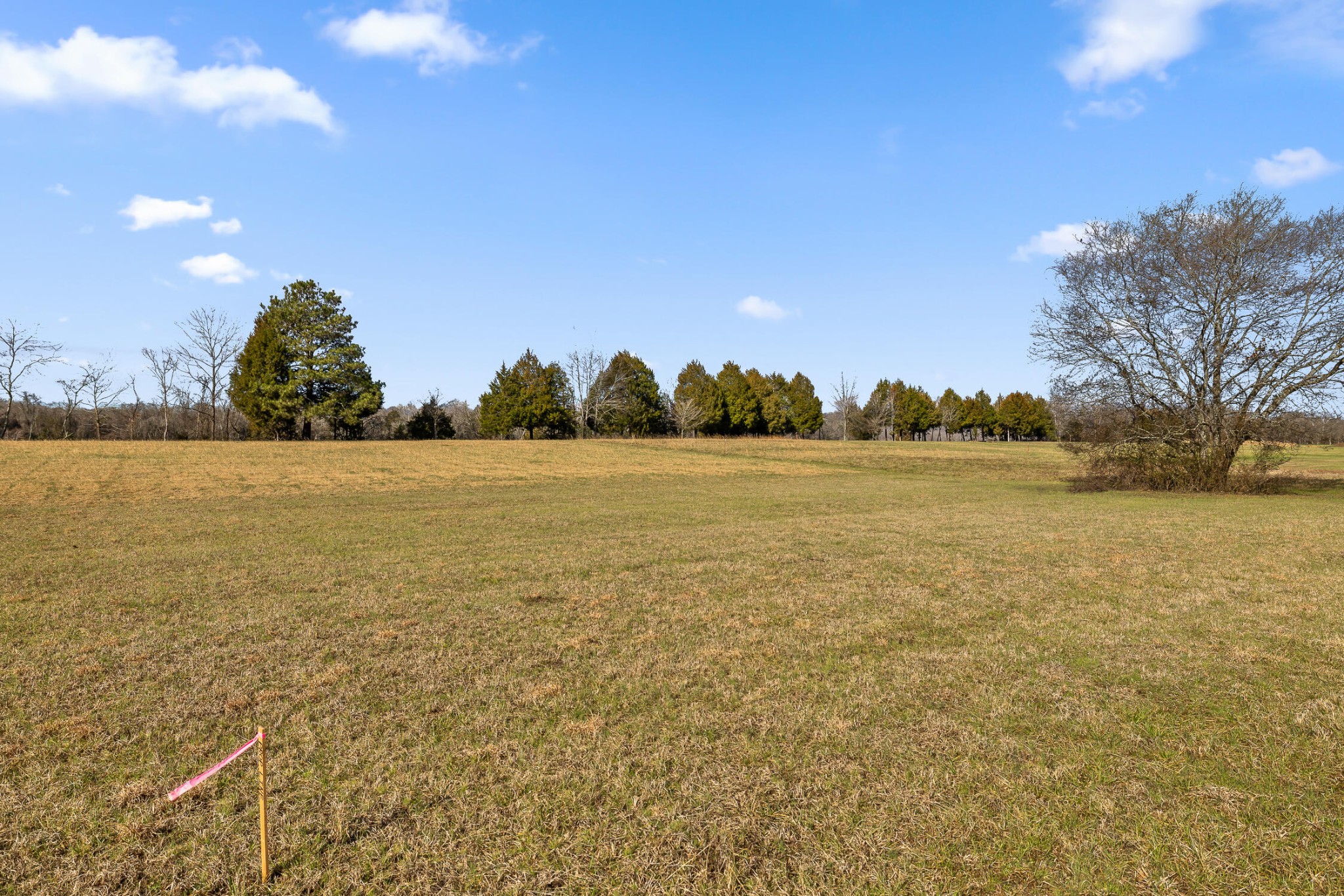 62 Espalier Drive Decatur, TN 37322 - Photo 26 of 34