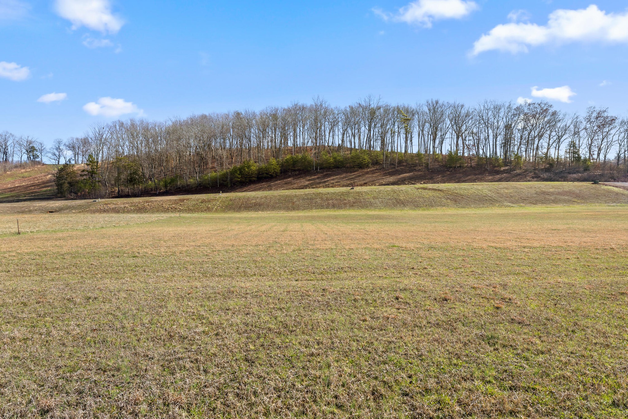 62 Espalier Drive Decatur, TN 37322 - Photo 27 of 34