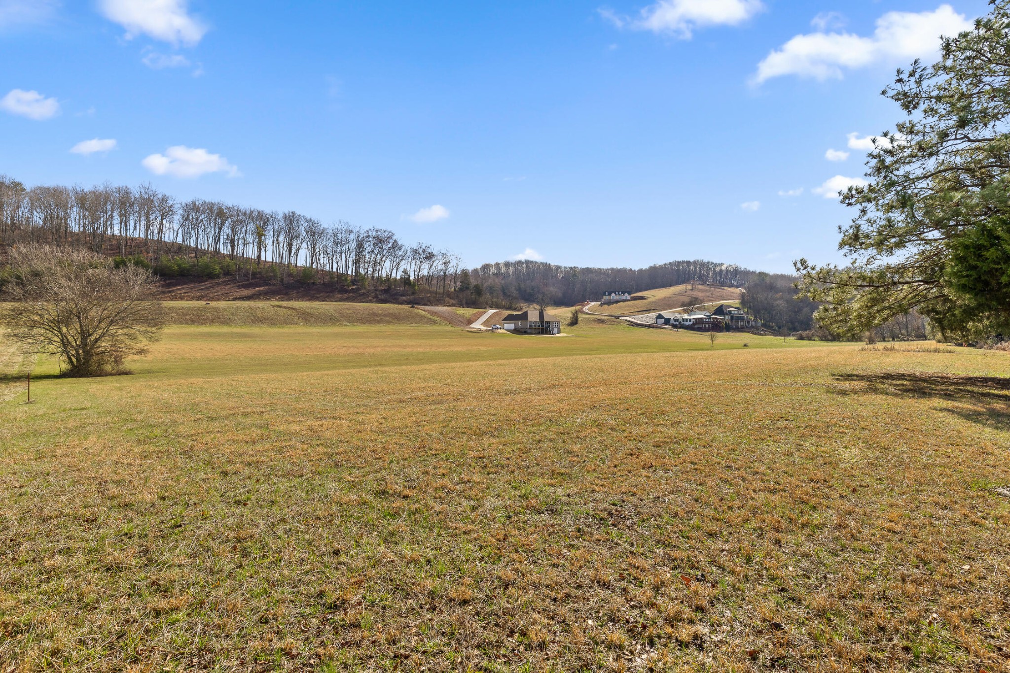 62 Espalier Drive Decatur, TN 37322 - Photo 29 of 34
