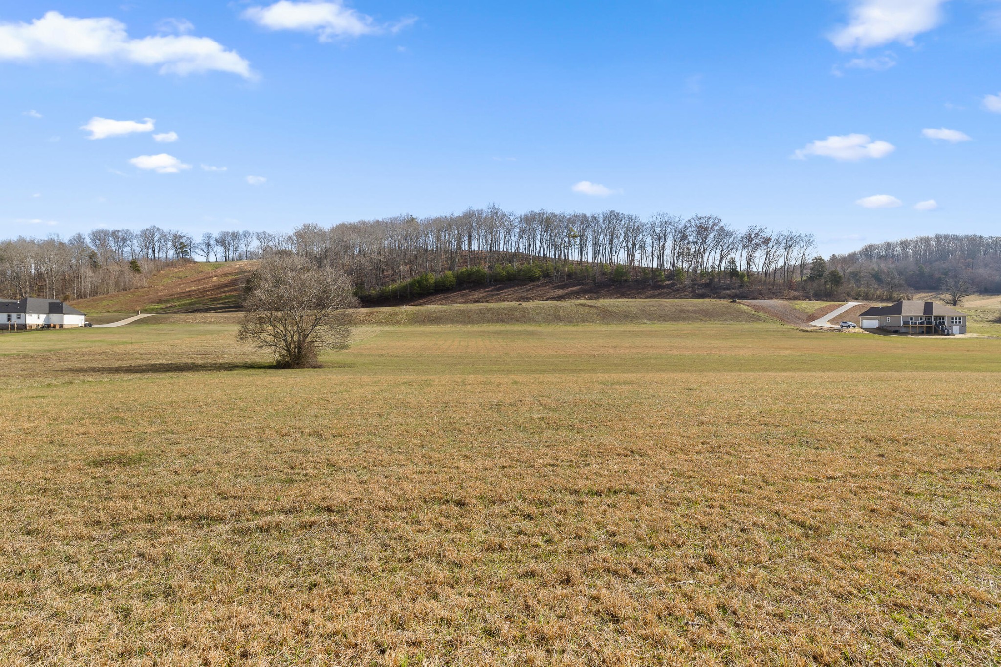 62 Espalier Drive Decatur, TN 37322 - Photo 30 of 34