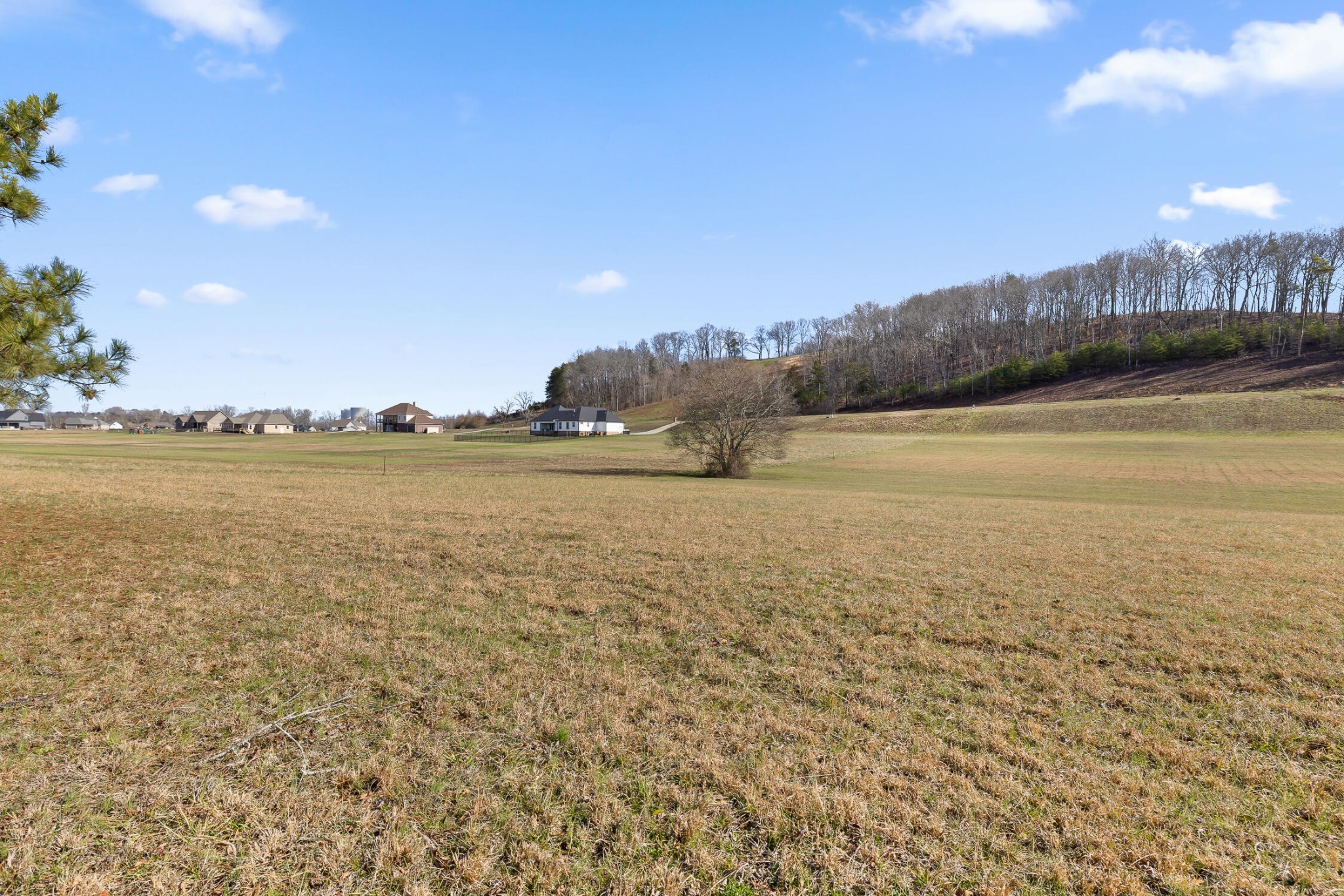 62 Espalier Drive Decatur, TN 37322 - Photo 31 of 34