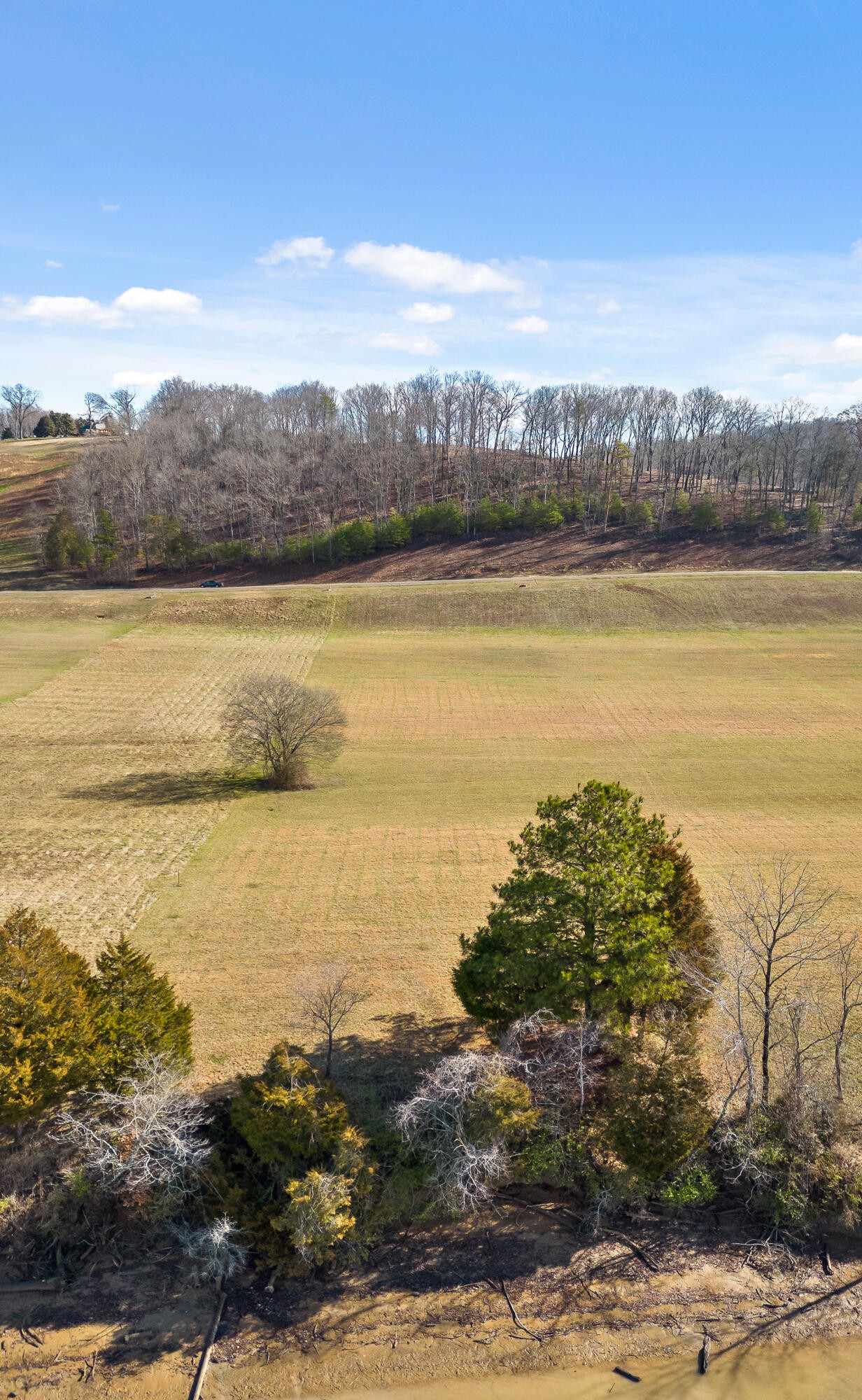 62 Espalier Drive Decatur, TN 37322 - Photo 6 of 34