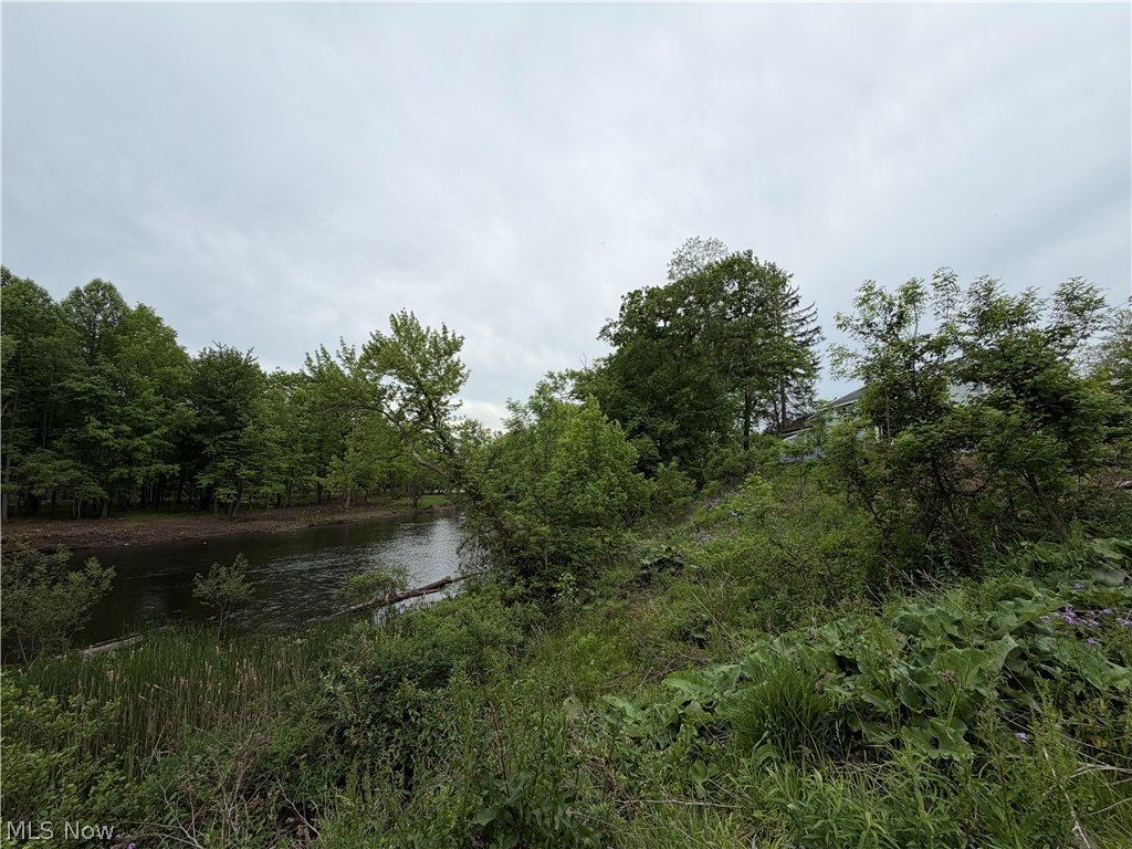 9098 Diagonal Road Streetsboro, OH 44241 - Photo 11 of 25 Natural water feature bordered by dense foliage and varied greenery