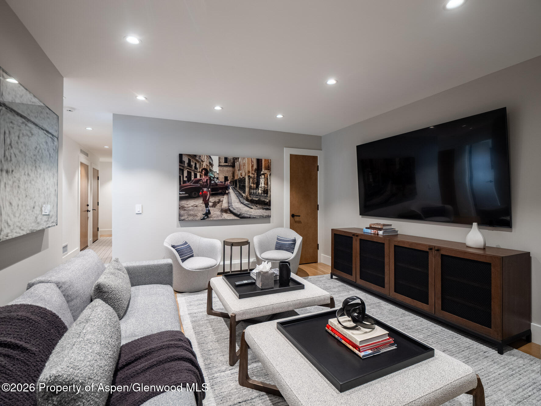 314 North Riverside Avenue, Unit 2 Aspen, CO 81611 - Photo 22 of 32 Media Room