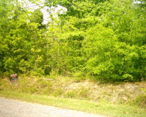 Lot 2 Legion Road Warrenville, SC 29851 - Photo 1 of 1