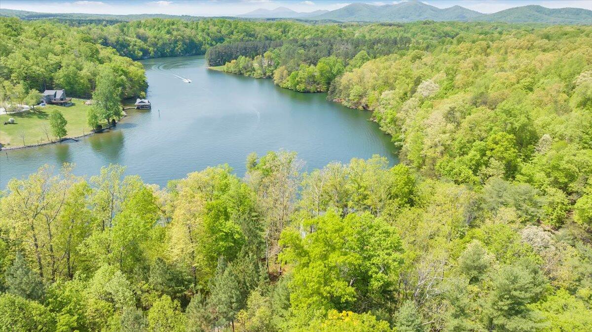 1373 Thomason Lane Goodview, VA 24095 - Photo 82 of 89 a view of a lake with a mountain