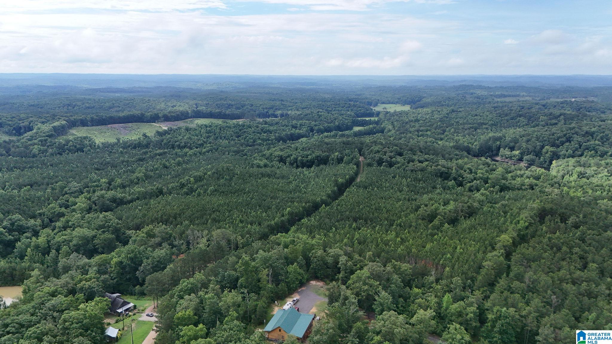 0 Skyview Lake Road Cottondale, AL 35453 - Photo 18 of 22