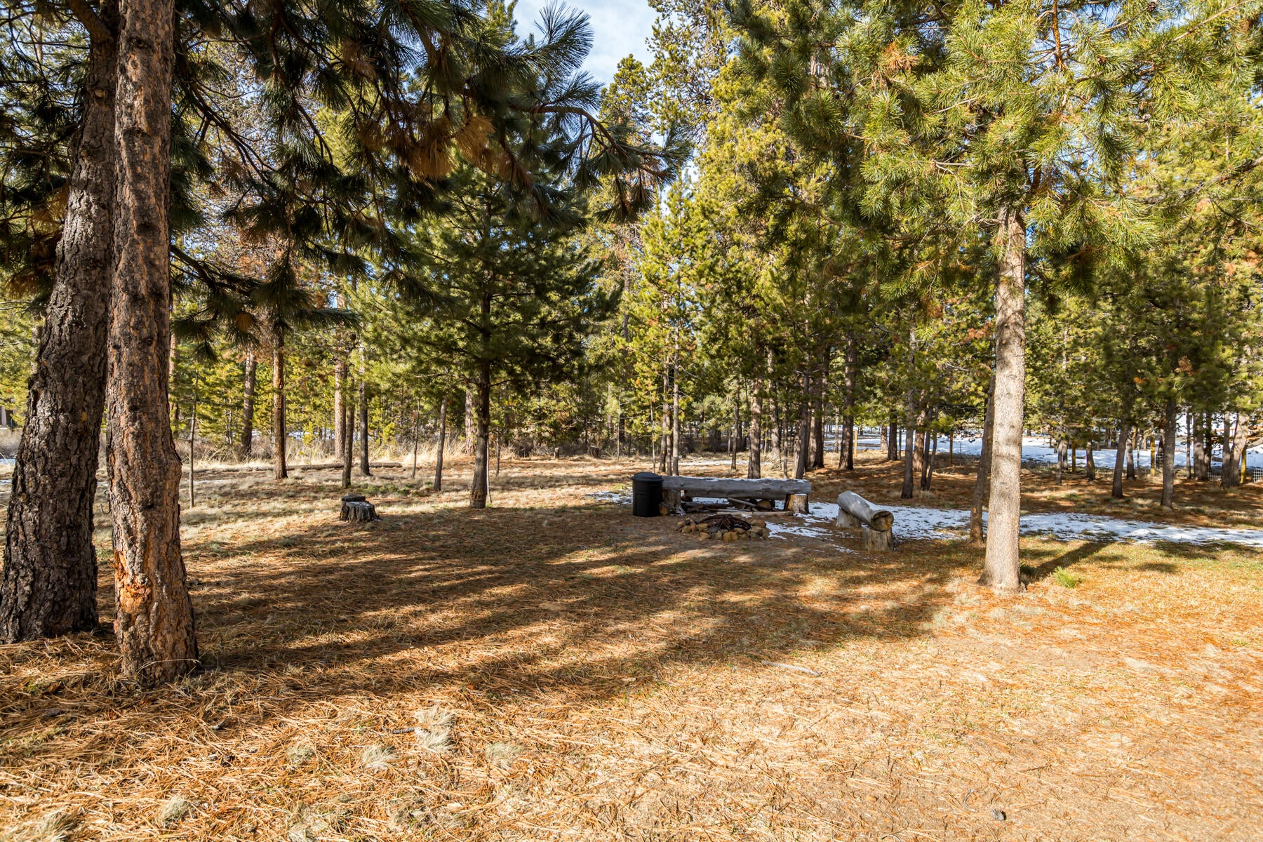 55901 Blue Eagle Road Bend, OR 97707 - Photo 34 of 42 JH5_9377