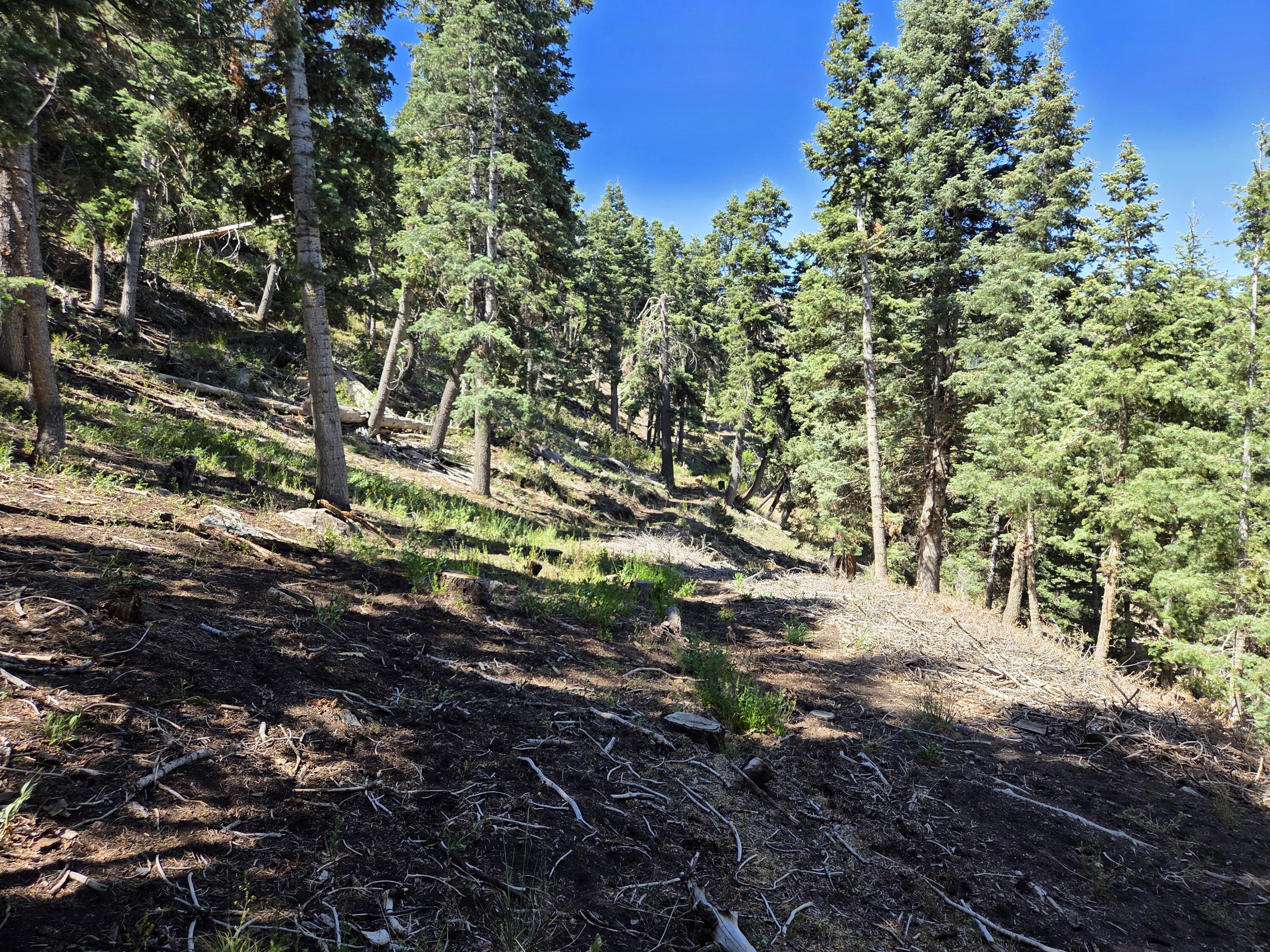 Braffits Creek, Unit 21 Cedar City, UT 84721 - Photo 24 of 25 1000007416