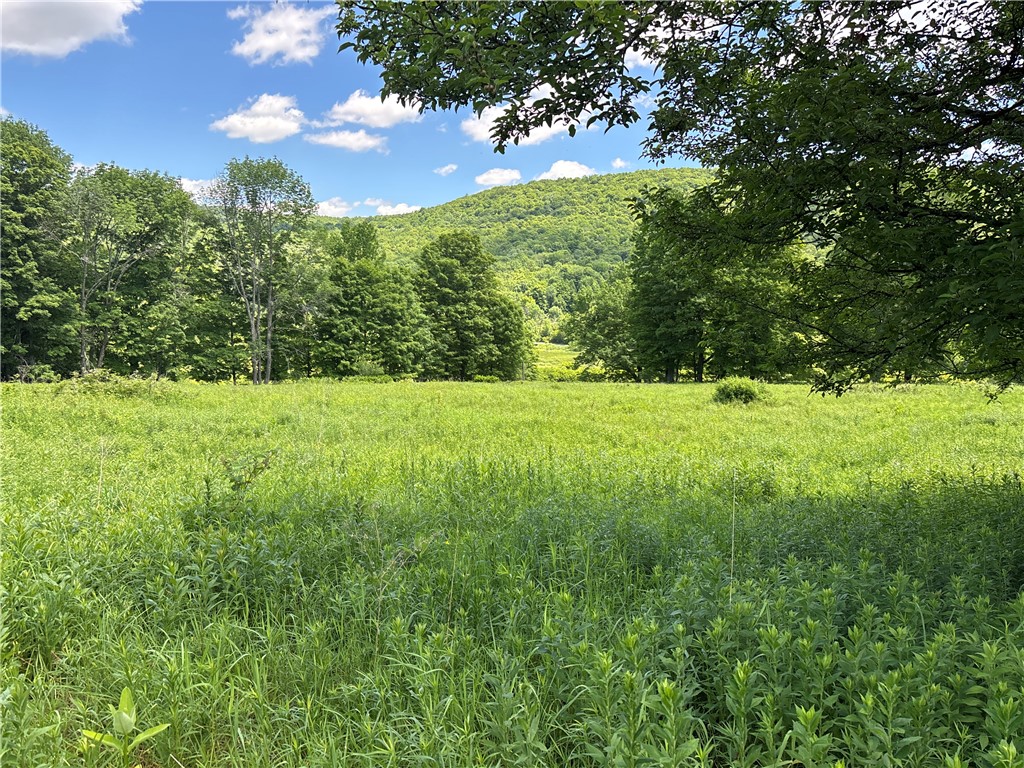 2613 Murphy Hill Road Andes, NY 13731 - Photo 24 of 35