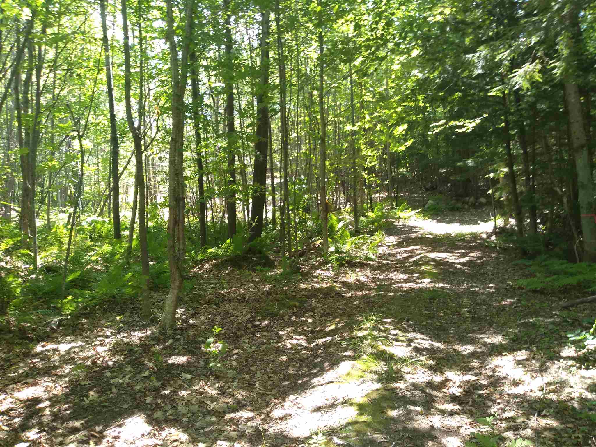Lot 7 Dugway Road Brownfield, ME 04010 - Photo 8 of 9 Gallery Image 8