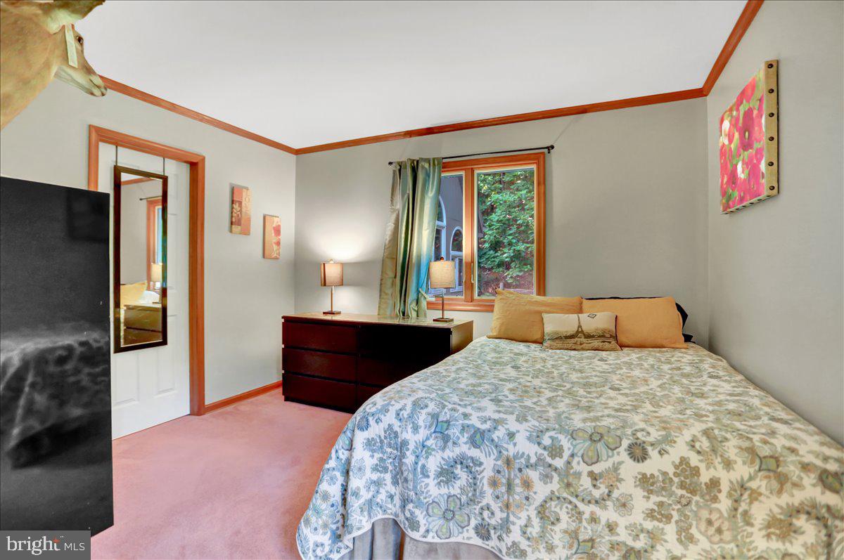 304 High Mountain Road Shippensburg, PA 17257 - Photo 24 of 51