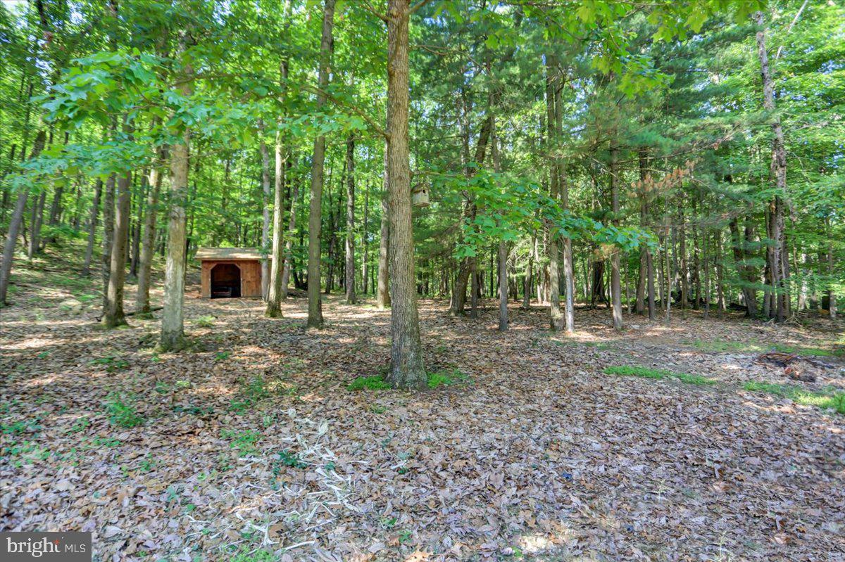 304 High Mountain Road Shippensburg, PA 17257 - Photo 44 of 51