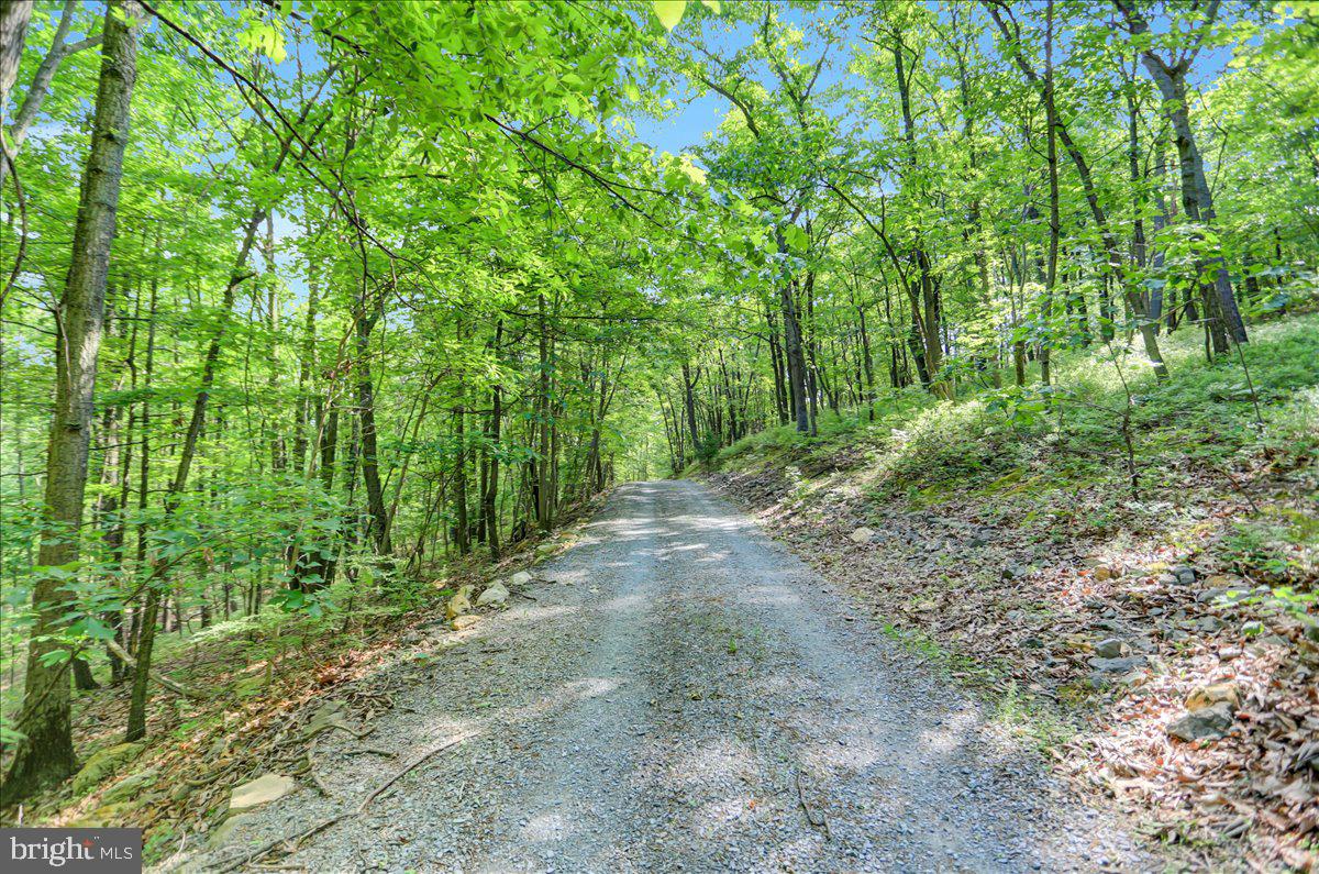 304 High Mountain Road Shippensburg, PA 17257 - Photo 45 of 51