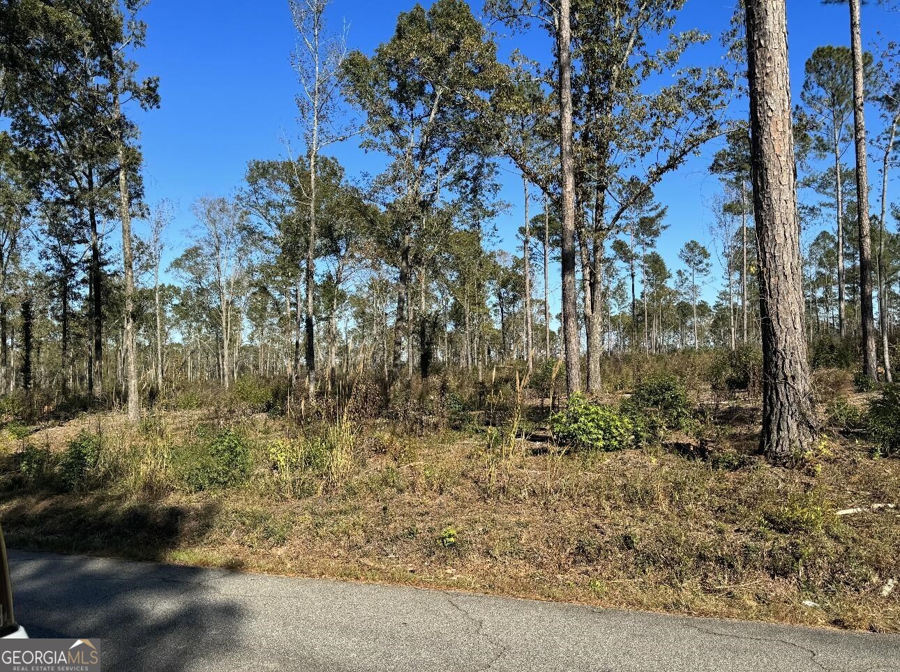 Tract-1 Lower Simmons Road Macon, GA 31220 - Photo 1 of 1 a view of a yard with trees