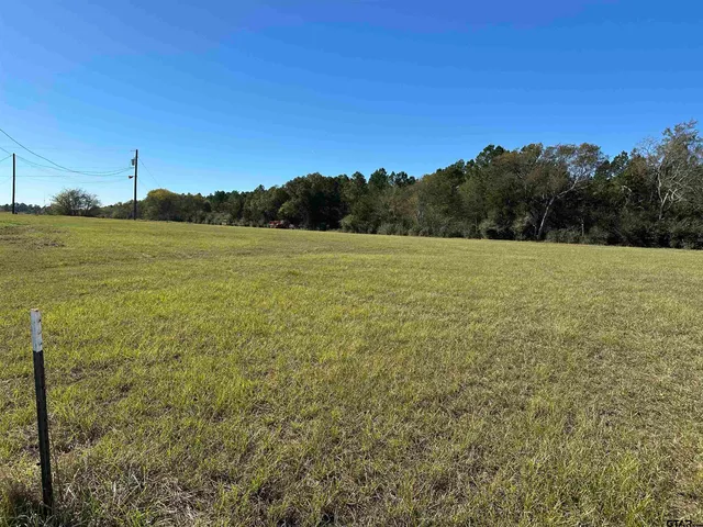 a view of an ocean from a yard