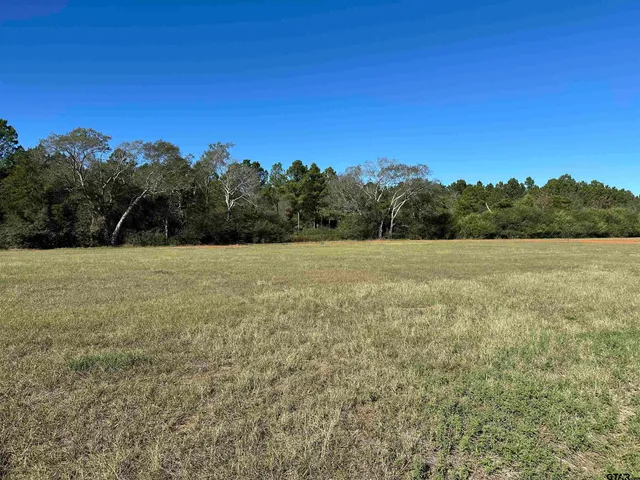 a view of a field with trees in the background