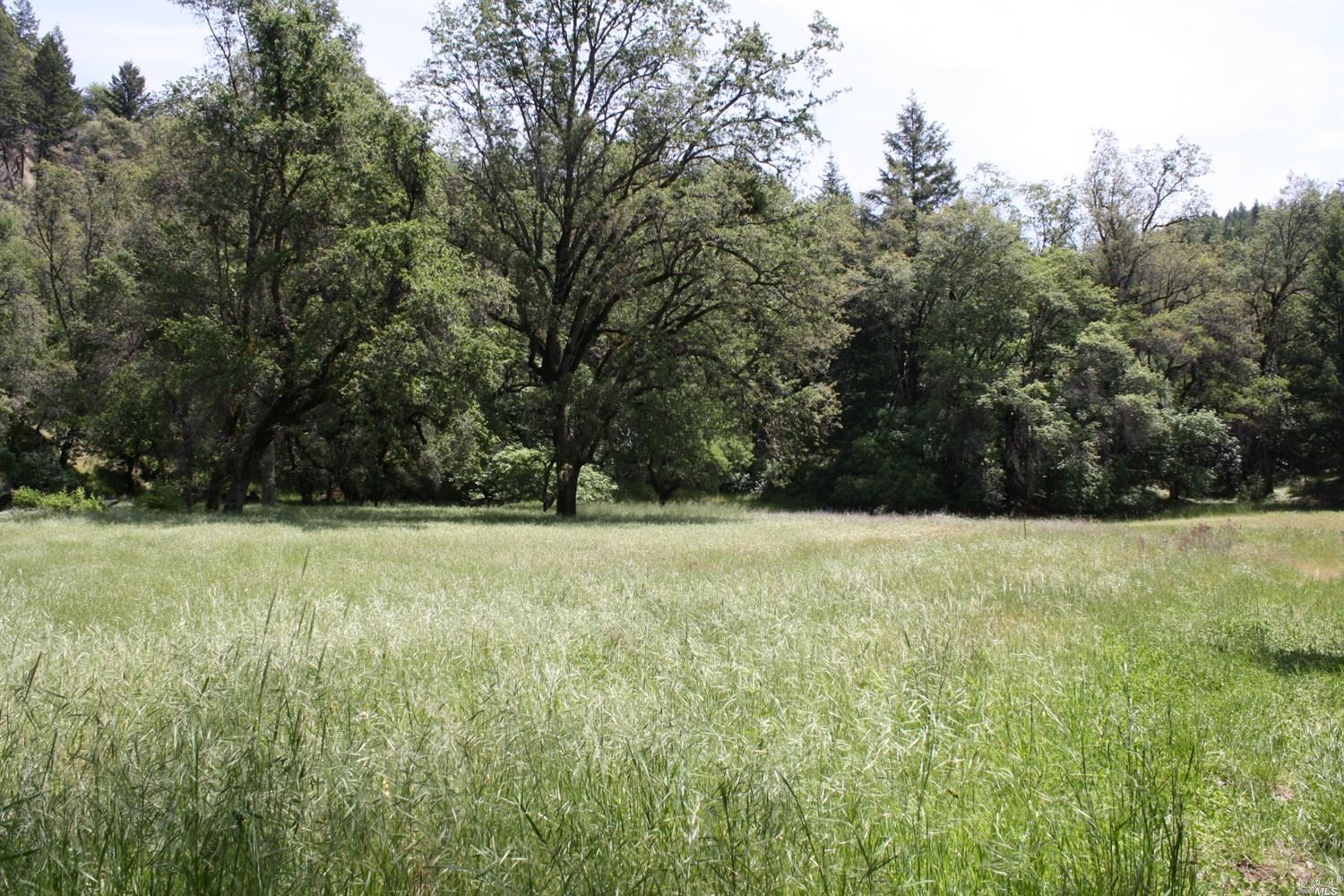 0 Williams Creek Road Covelo, CA 95428 - Photo 11 of 40