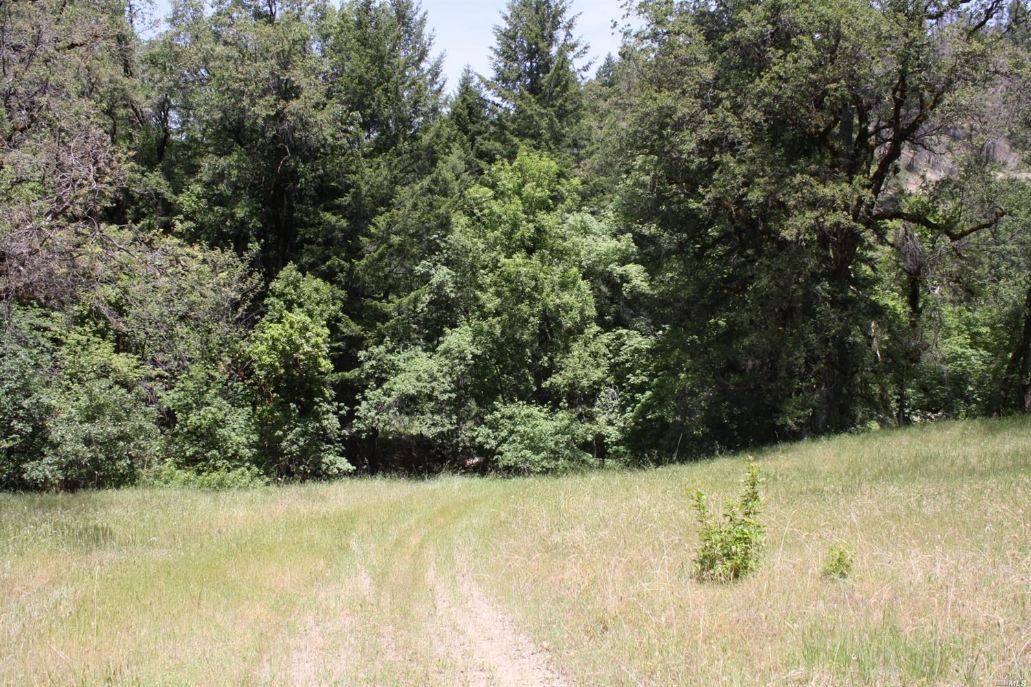 0 Williams Creek Road Covelo, CA 95428 - Photo 12 of 40