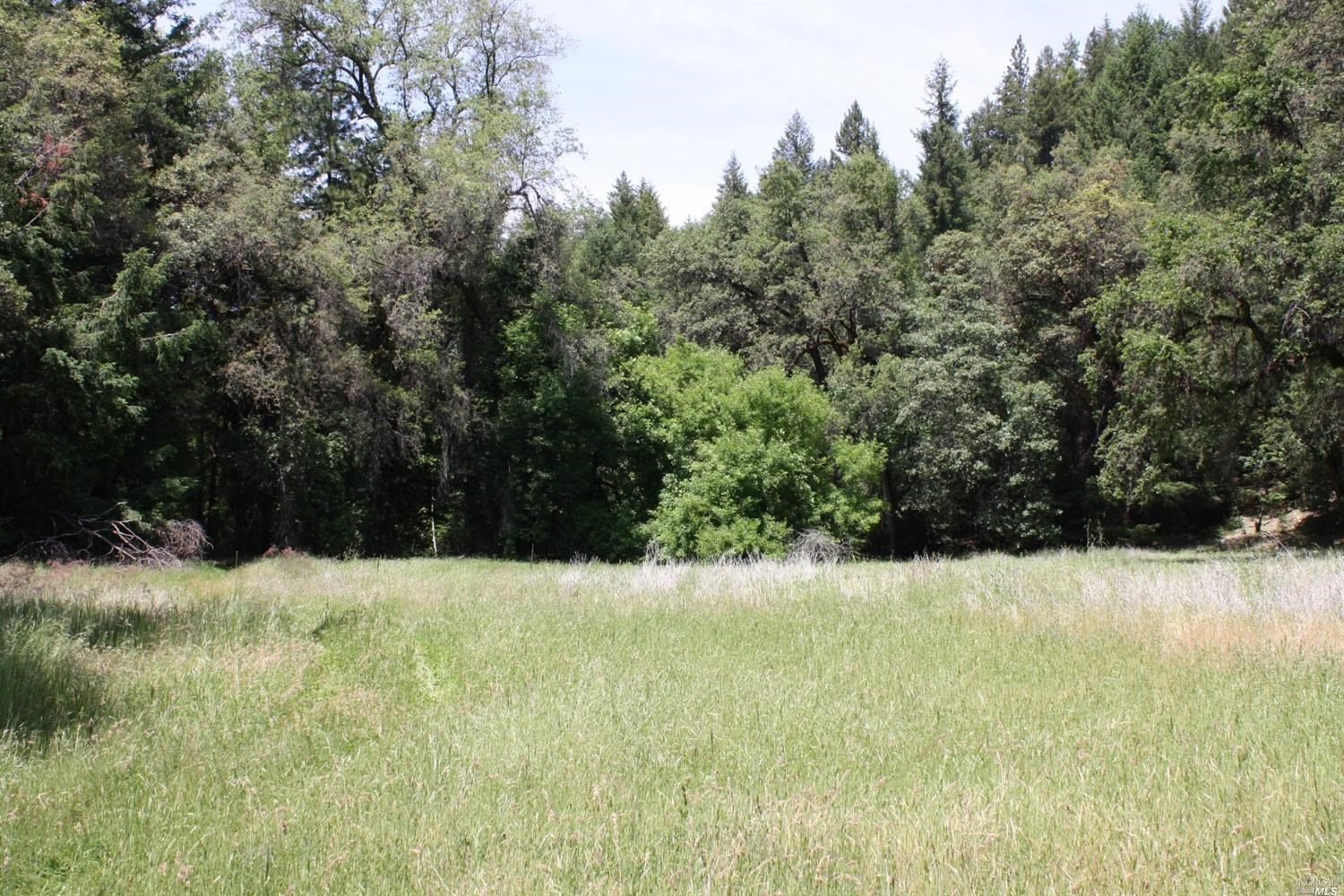 0 Williams Creek Road Covelo, CA 95428 - Photo 13 of 40