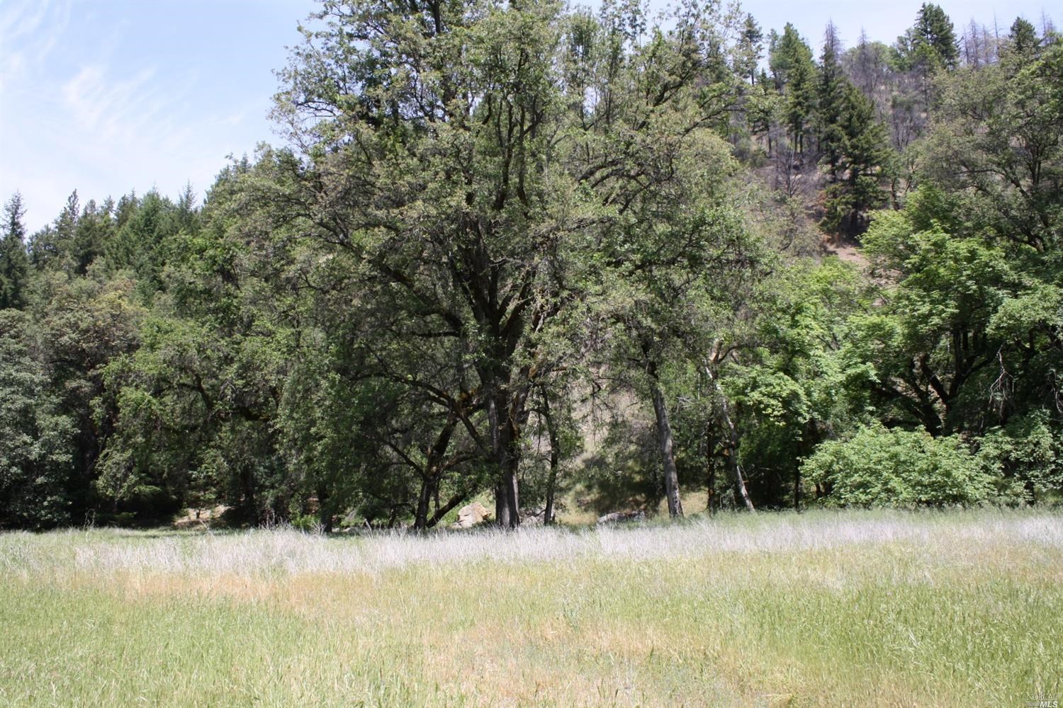 0 Williams Creek Road Covelo, CA 95428 - Photo 14 of 40 a view of water covered with snow in front of house