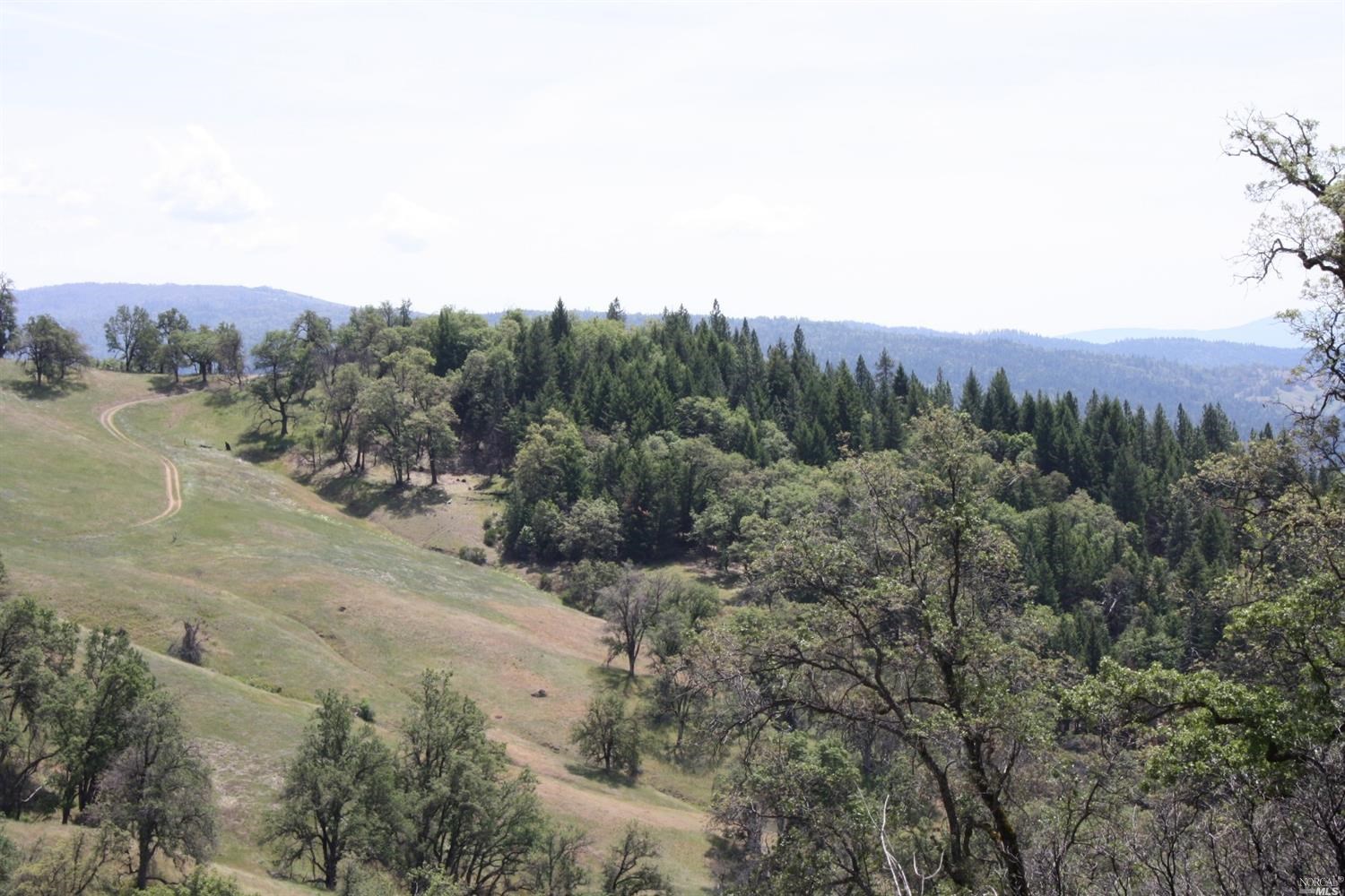 0 Williams Creek Road Covelo, CA 95428 - Photo 16 of 40 a view of a lake with mountains in the background