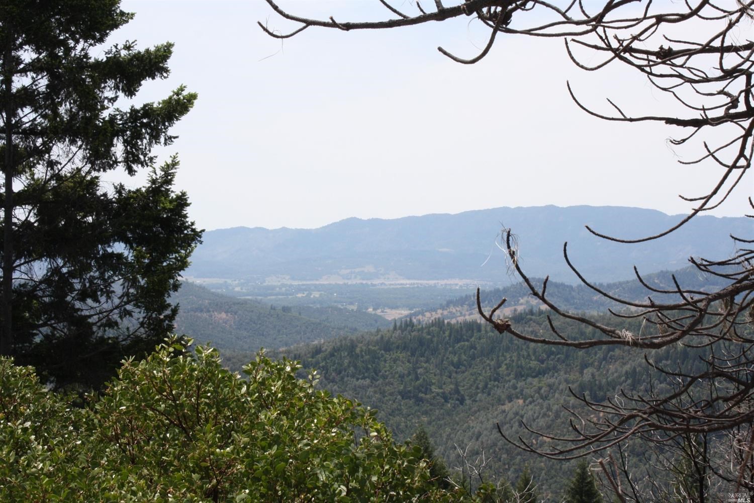 0 Williams Creek Road Covelo, CA 95428 - Photo 18 of 40 a view of a tree in a yard