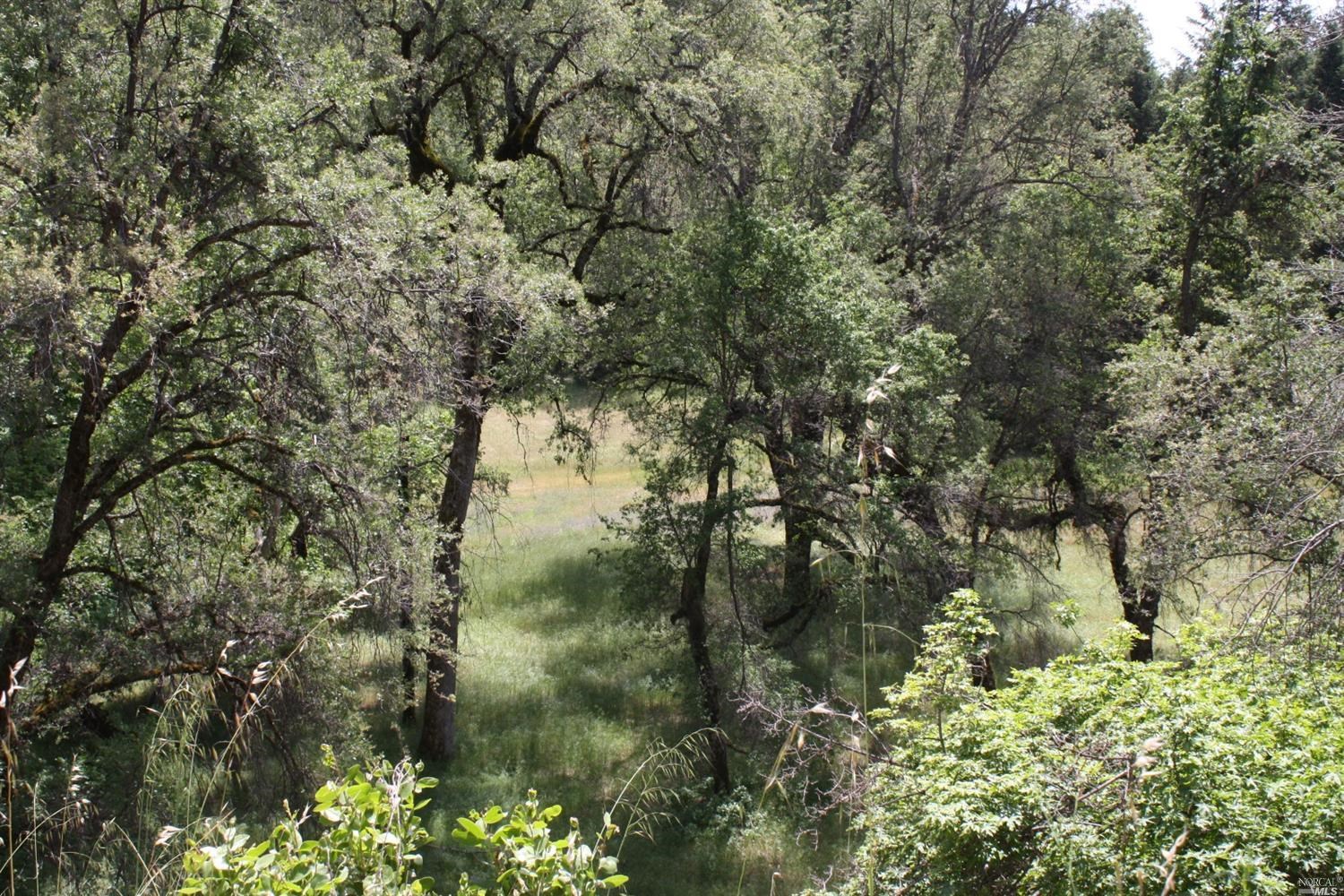 0 Williams Creek Road Covelo, CA 95428 - Photo 19 of 40 a view of a lake with a tree