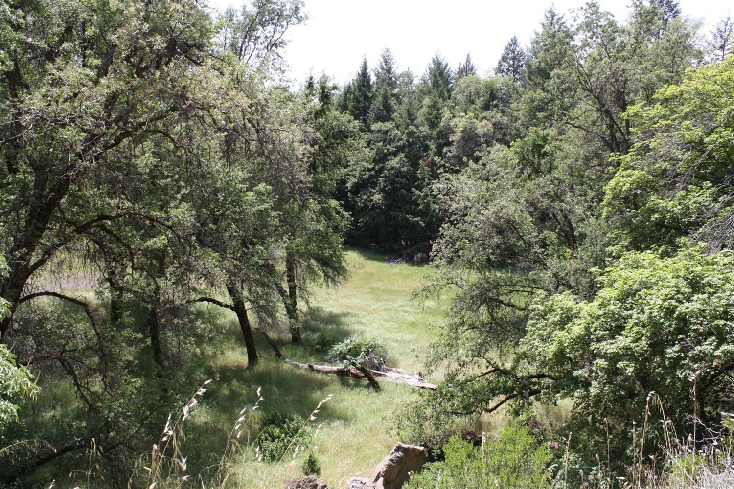 0 Williams Creek Road Covelo, CA 95428 - Photo 20 of 40 a view of a forest