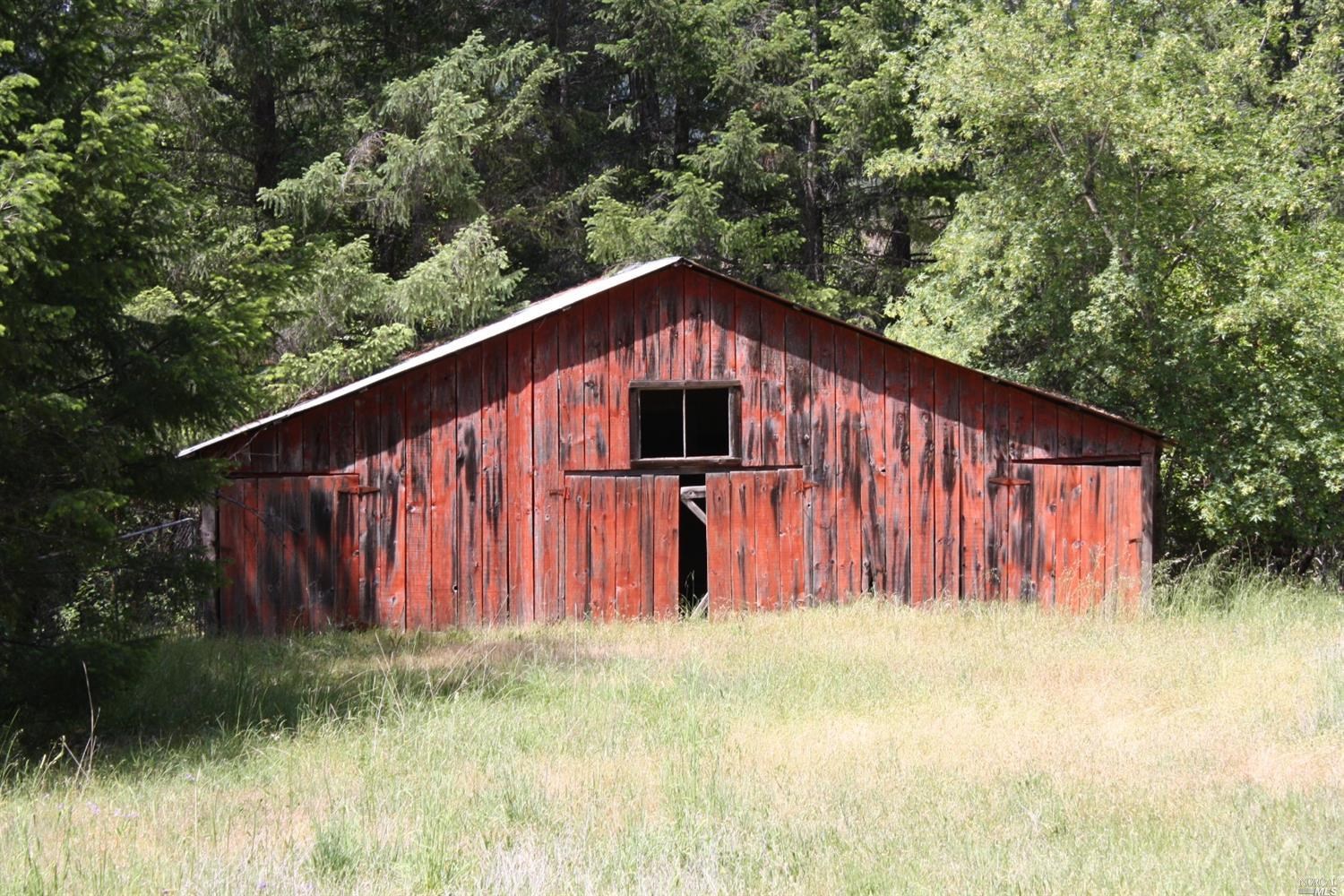 0 Williams Creek Road Covelo, CA 95428 - Photo 2 of 40 a view of a backyard with potted plants and large tree