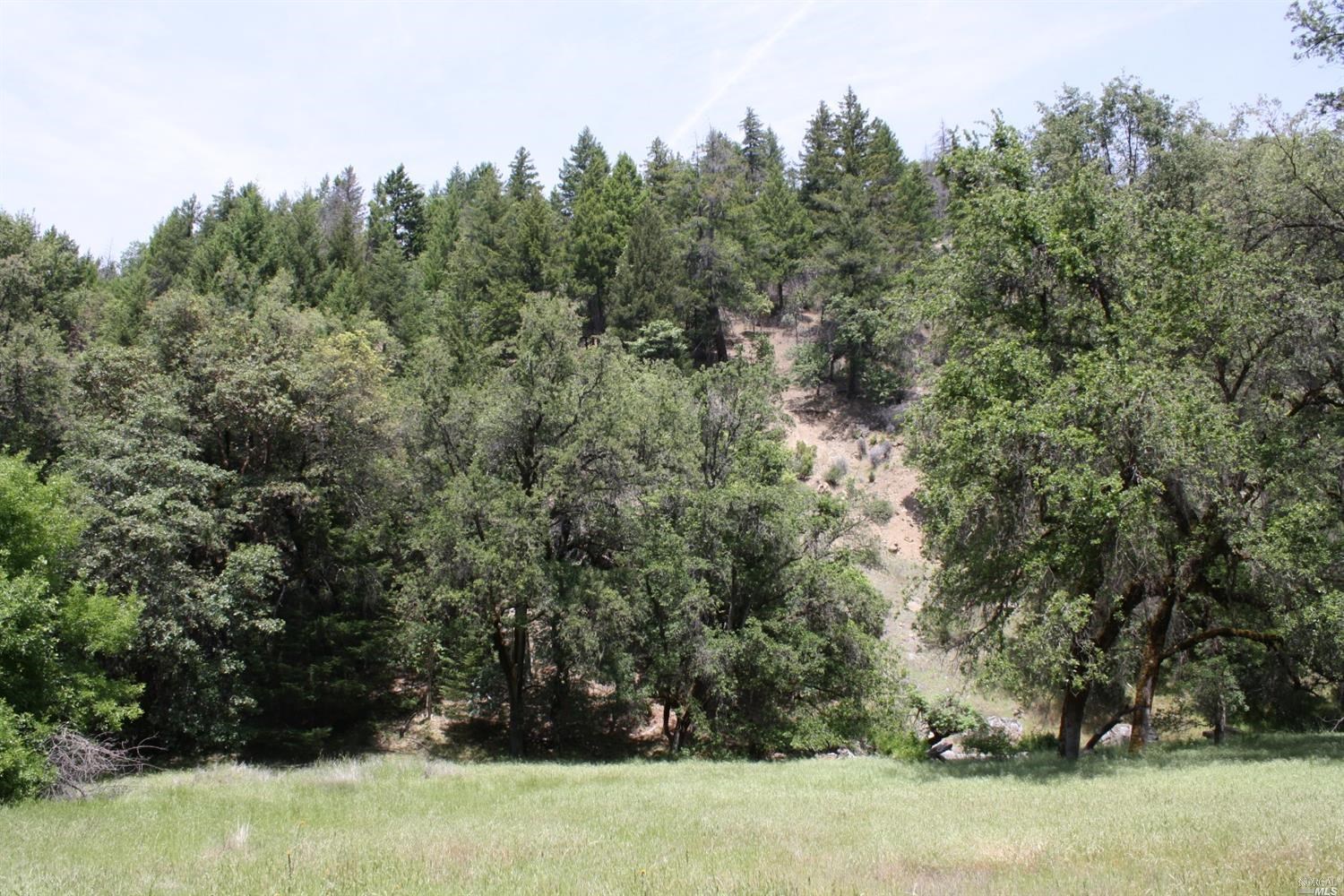 0 Williams Creek Road Covelo, CA 95428 - Photo 22 of 40