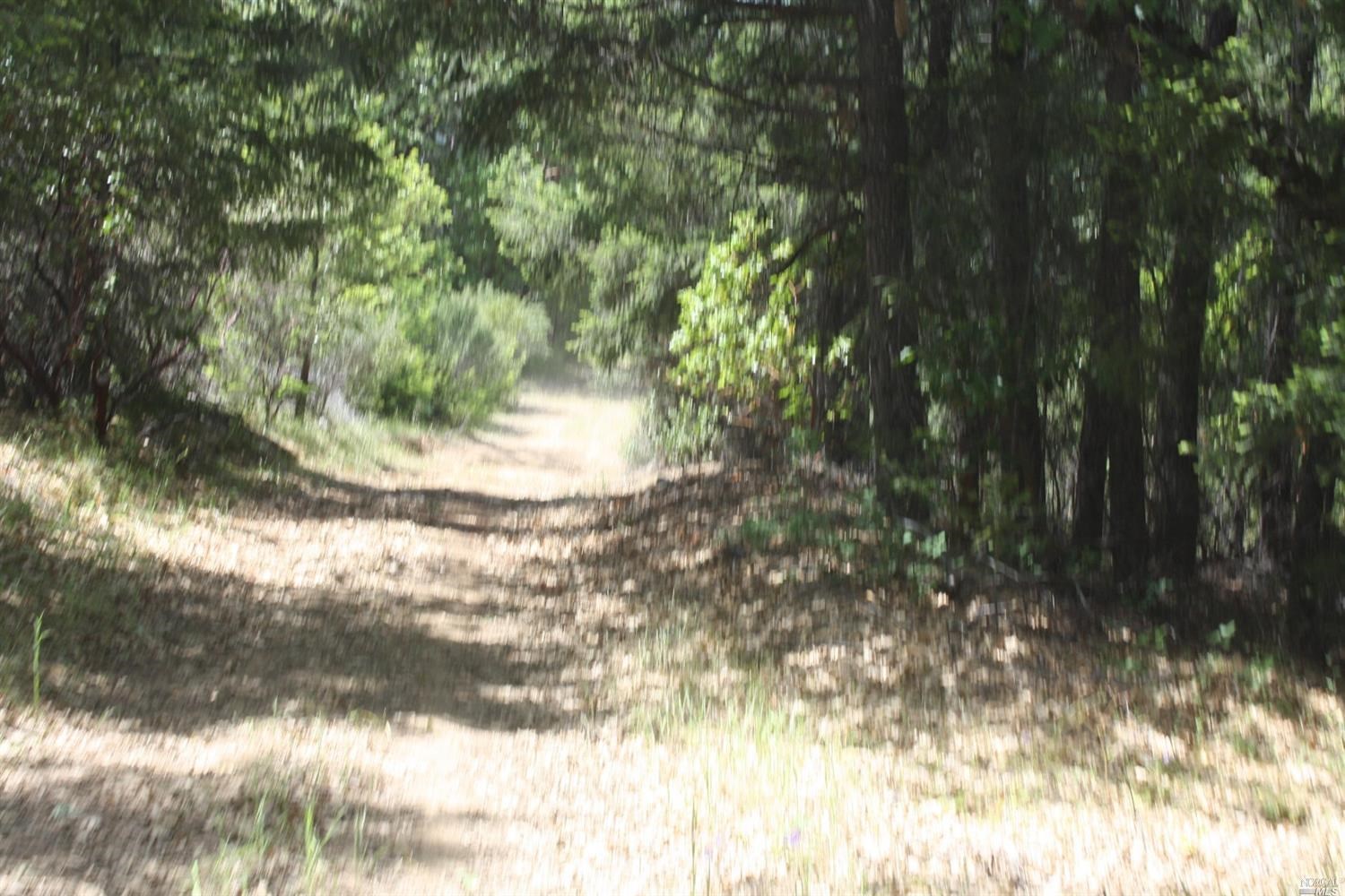 0 Williams Creek Road Covelo, CA 95428 - Photo 23 of 40 a view of a yard