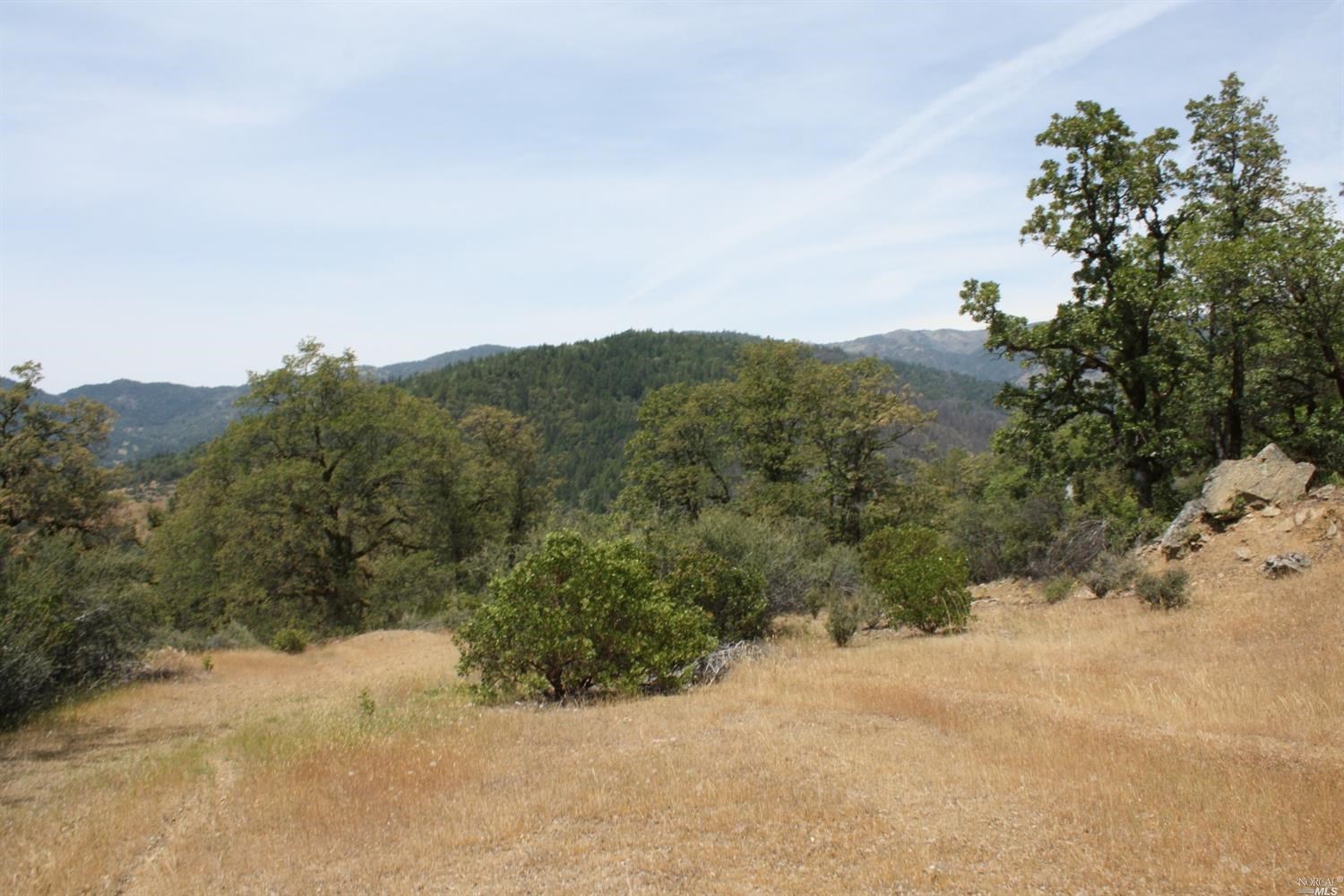 0 Williams Creek Road Covelo, CA 95428 - Photo 24 of 40 a view of a dry yard with mountains in the background
