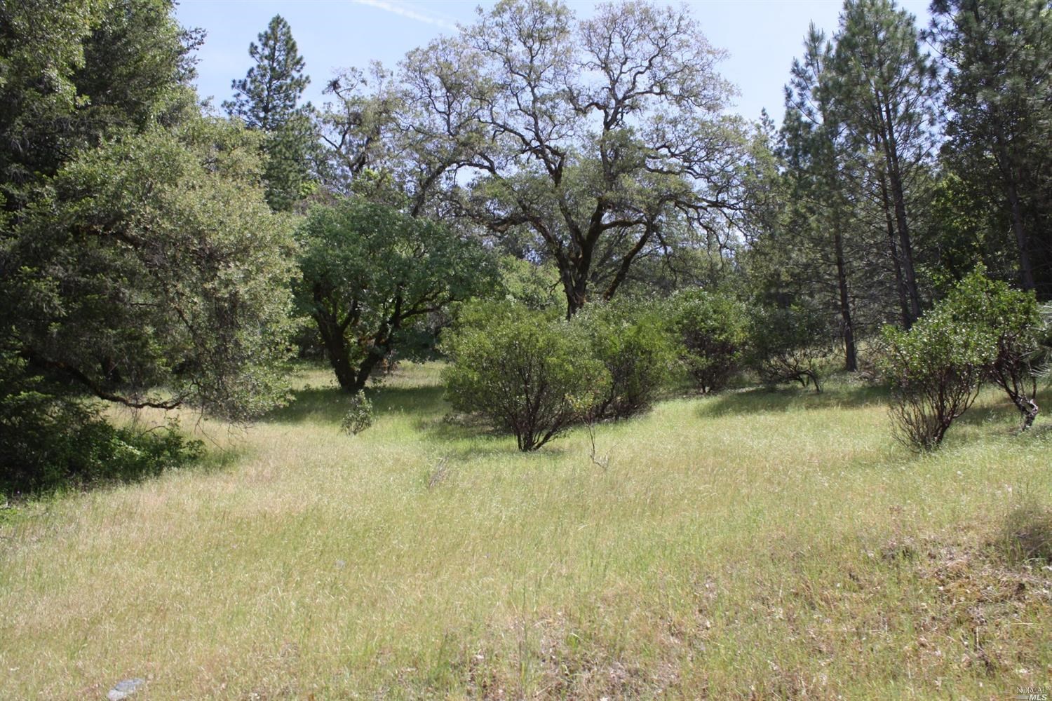 0 Williams Creek Road Covelo, CA 95428 - Photo 25 of 40