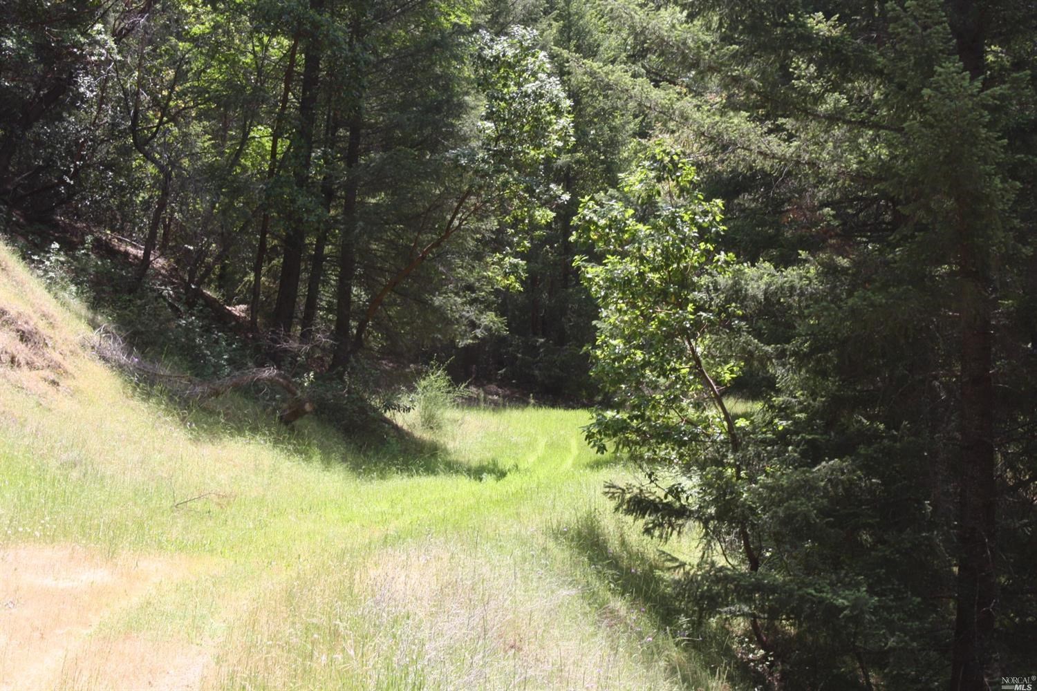 0 Williams Creek Road Covelo, CA 95428 - Photo 26 of 40 a view of a yard