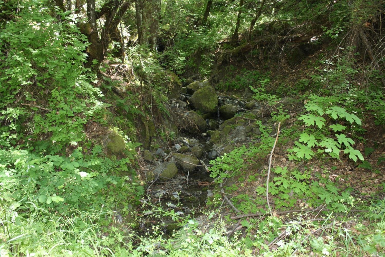 0 Williams Creek Road Covelo, CA 95428 - Photo 27 of 40 a view of a lush green forest