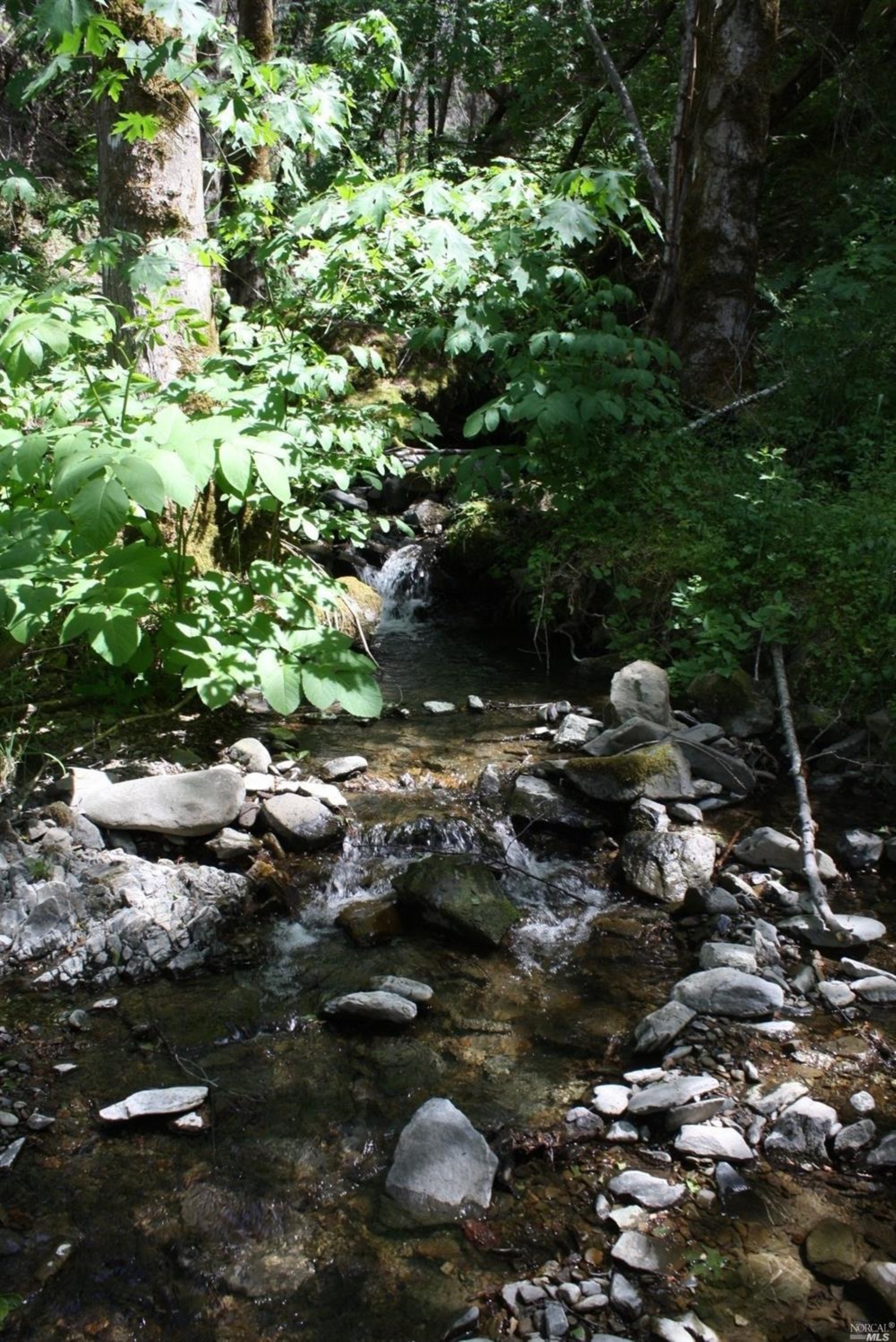 0 Williams Creek Road Covelo, CA 95428 - Photo 30 of 40